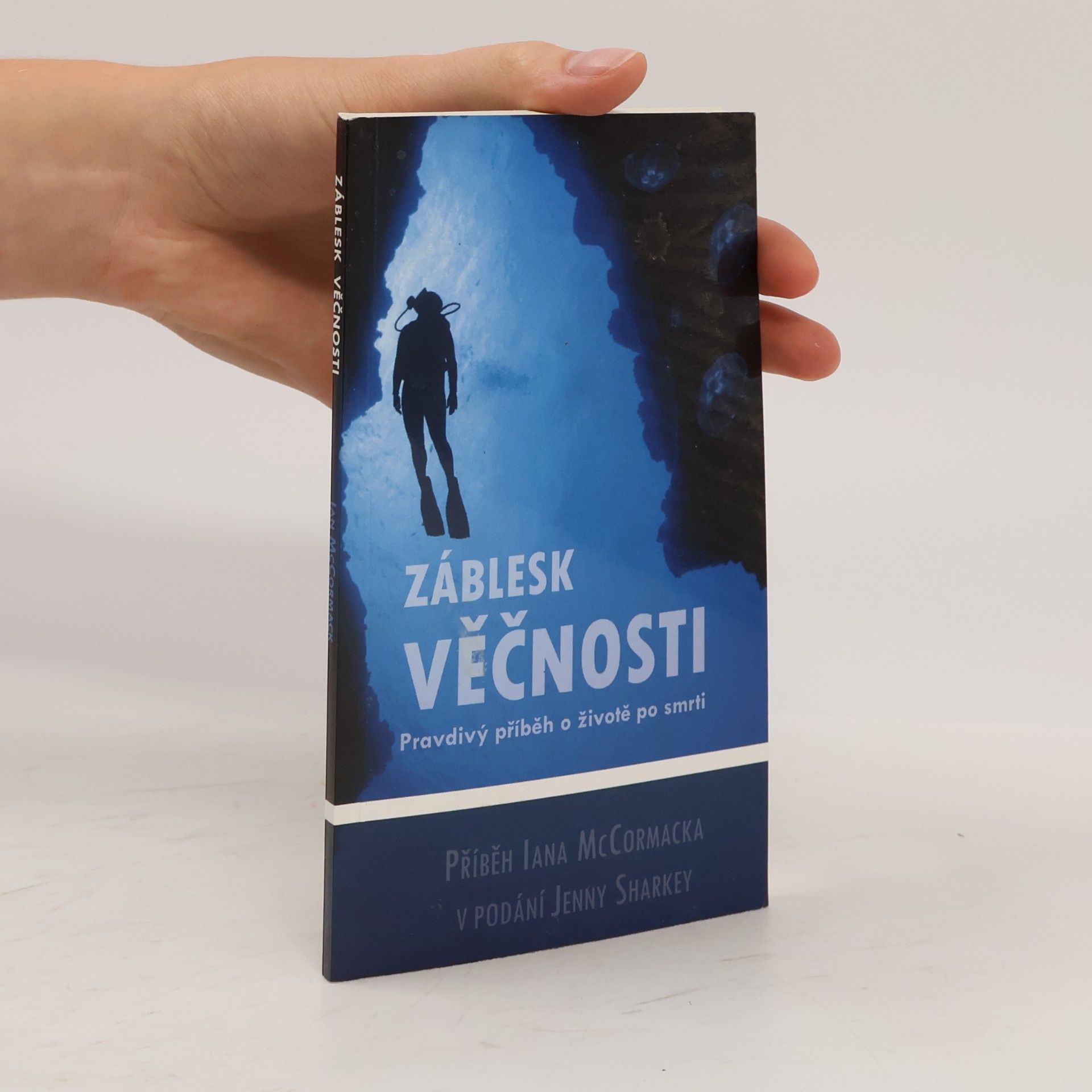 Ian McCormack Záblesk věčnosti. Pravdivý příběh o životě po smrti