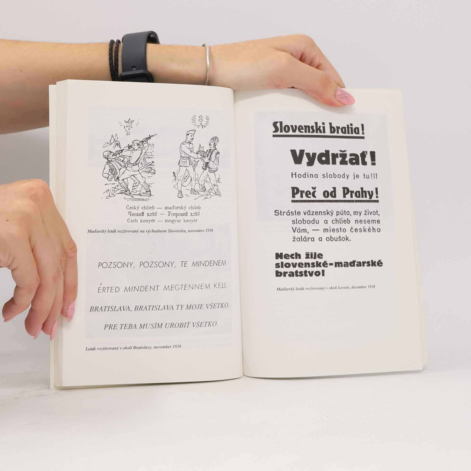 Ladislav Deák Viedenská arbitráž, "Mníchov pre Slovensko"