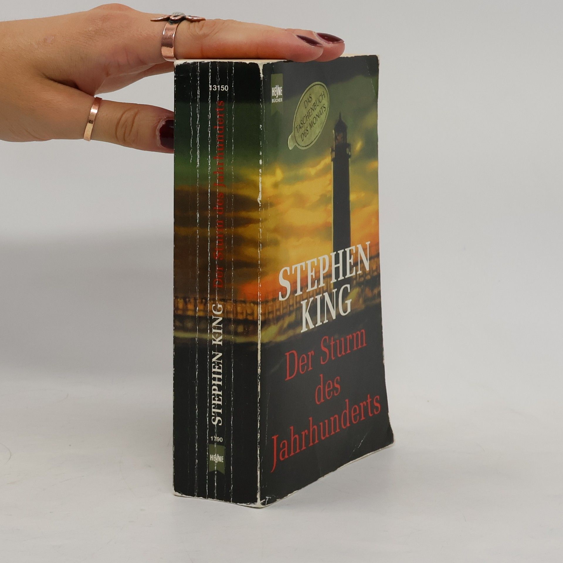 Stephen King Der Sturm des Jahrhunderts