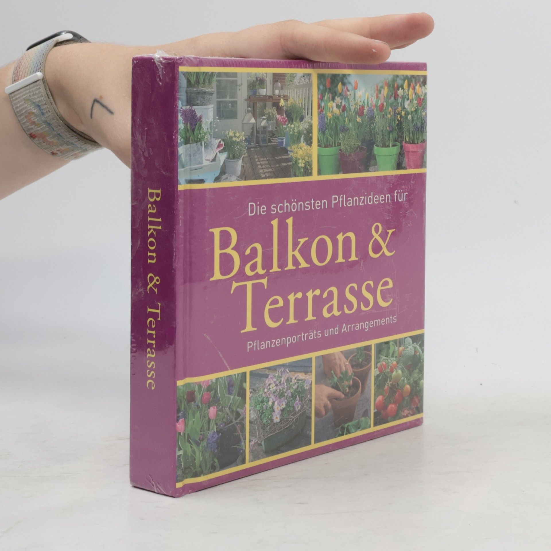Bross-Burkhardt Brunhilde Und Christine Weidenweber Die schönsten Pflanzideen für Balkon & Terrasse Pflanzenporträts und Arrangements