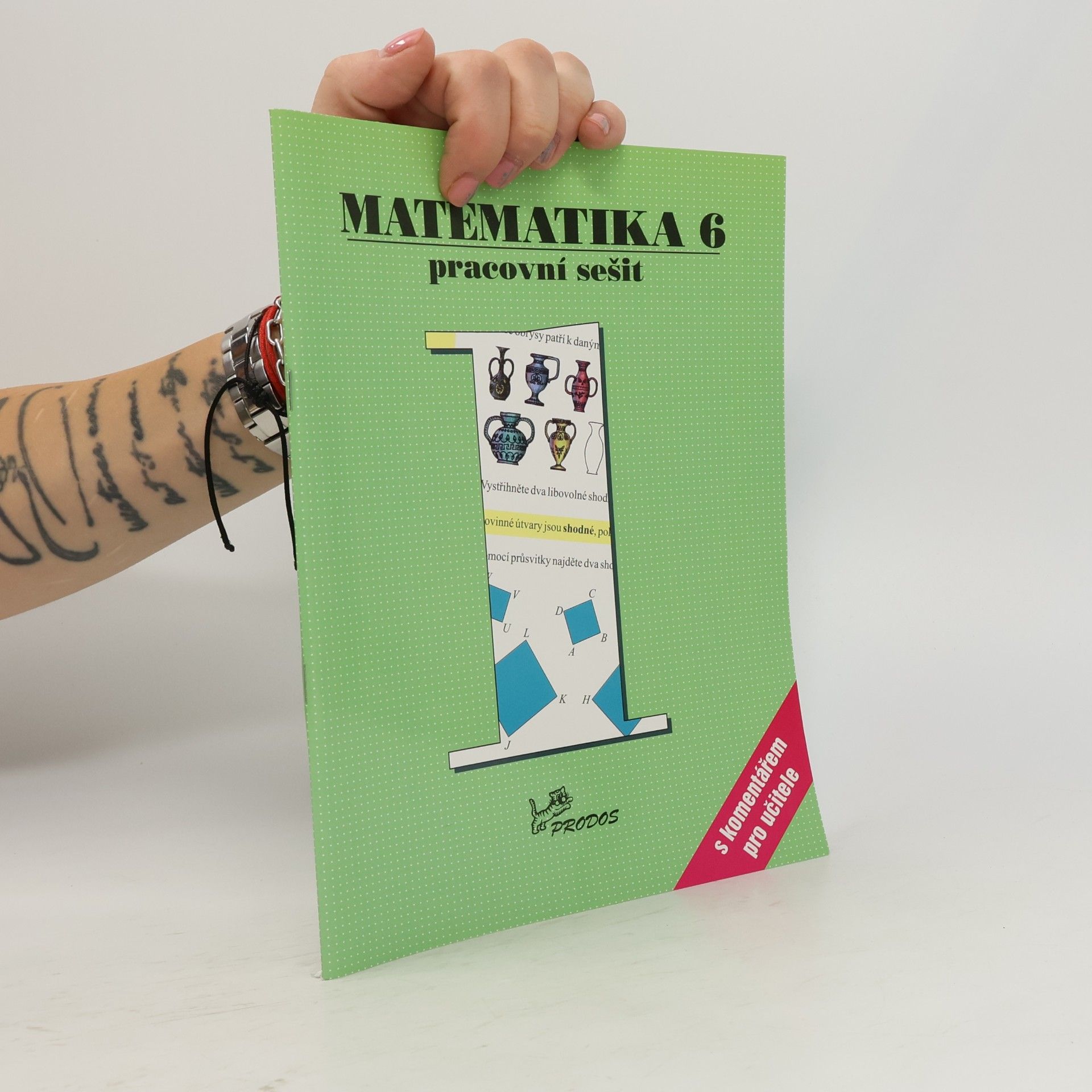 Josef Molnár Matematika 6 – pracovní sešit 1 s komentářem pro učitele