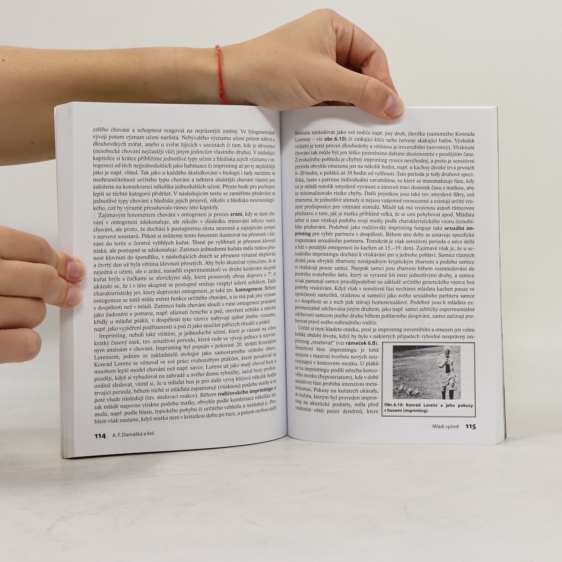 Autorenkollektiv Mládí vpřed! : biologická olympiáda 2018-2019, 53. ročník, přípravný text pro kategorie A, B