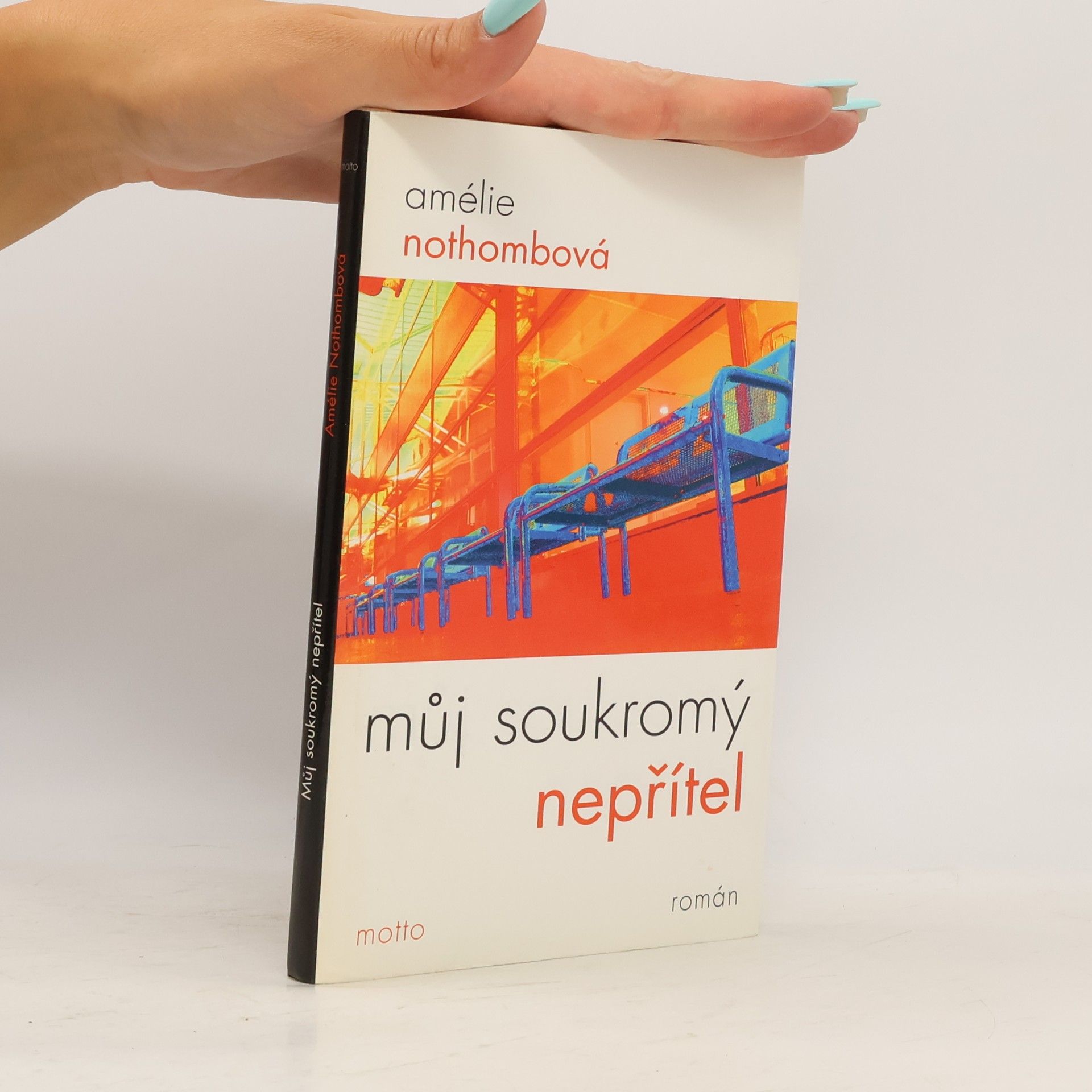 Amélie Nothomb Můj soukromý nepřítel