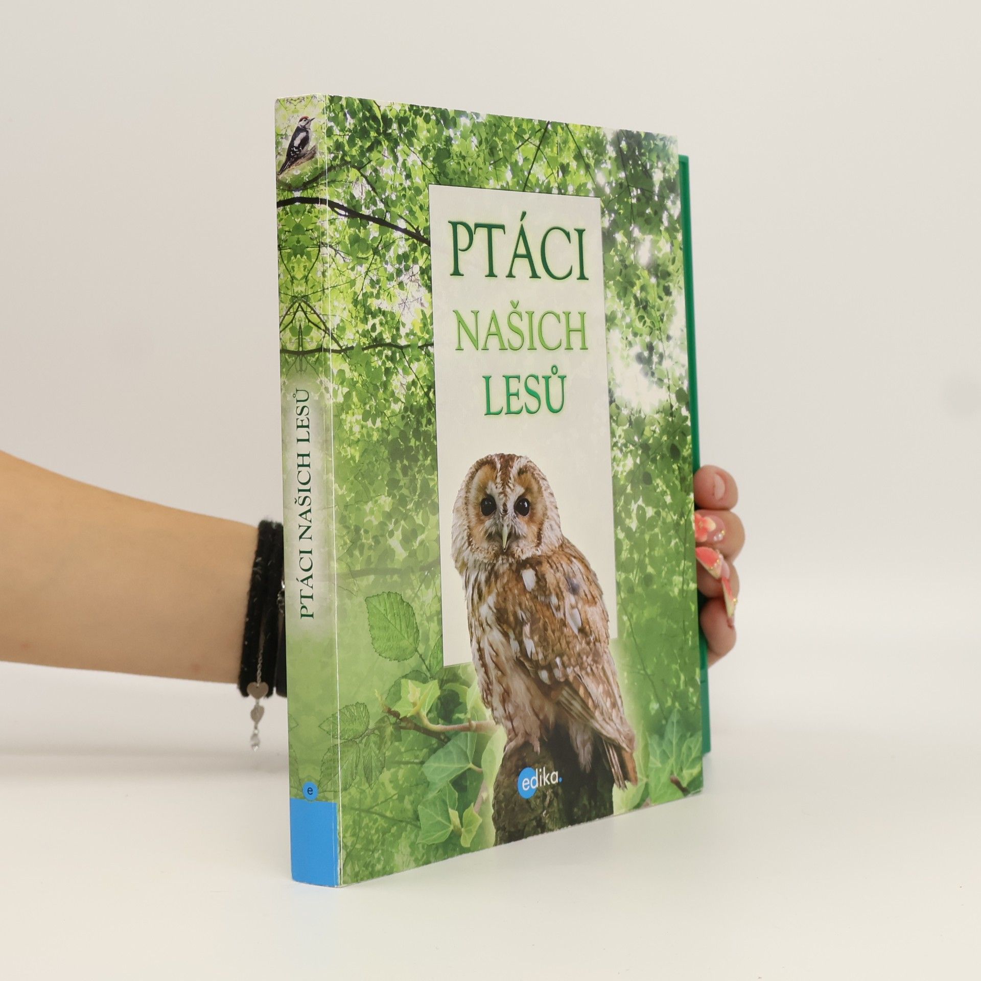 Andrea Pinnington Ptáci našich lesů