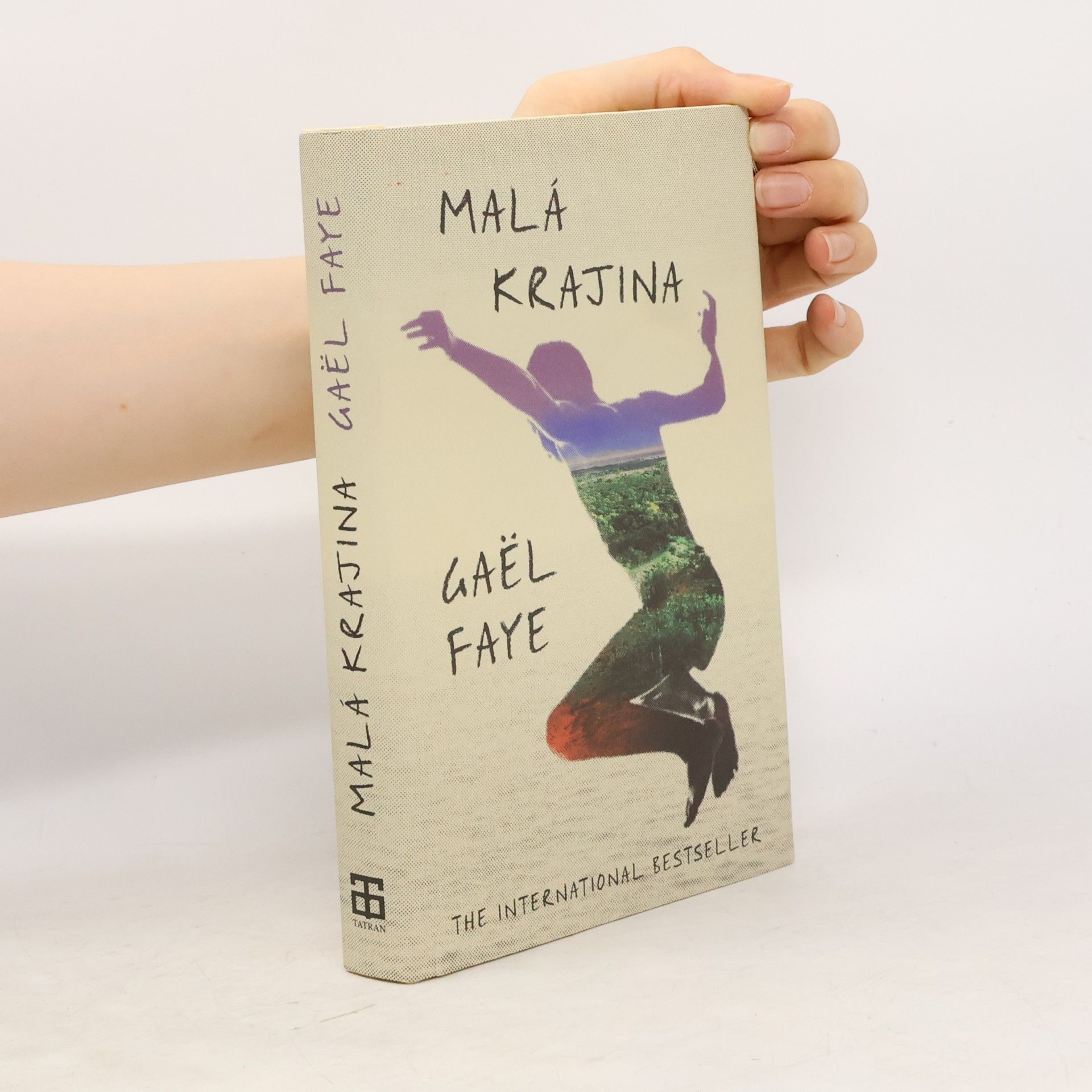 Gaël Faye Malá krajina