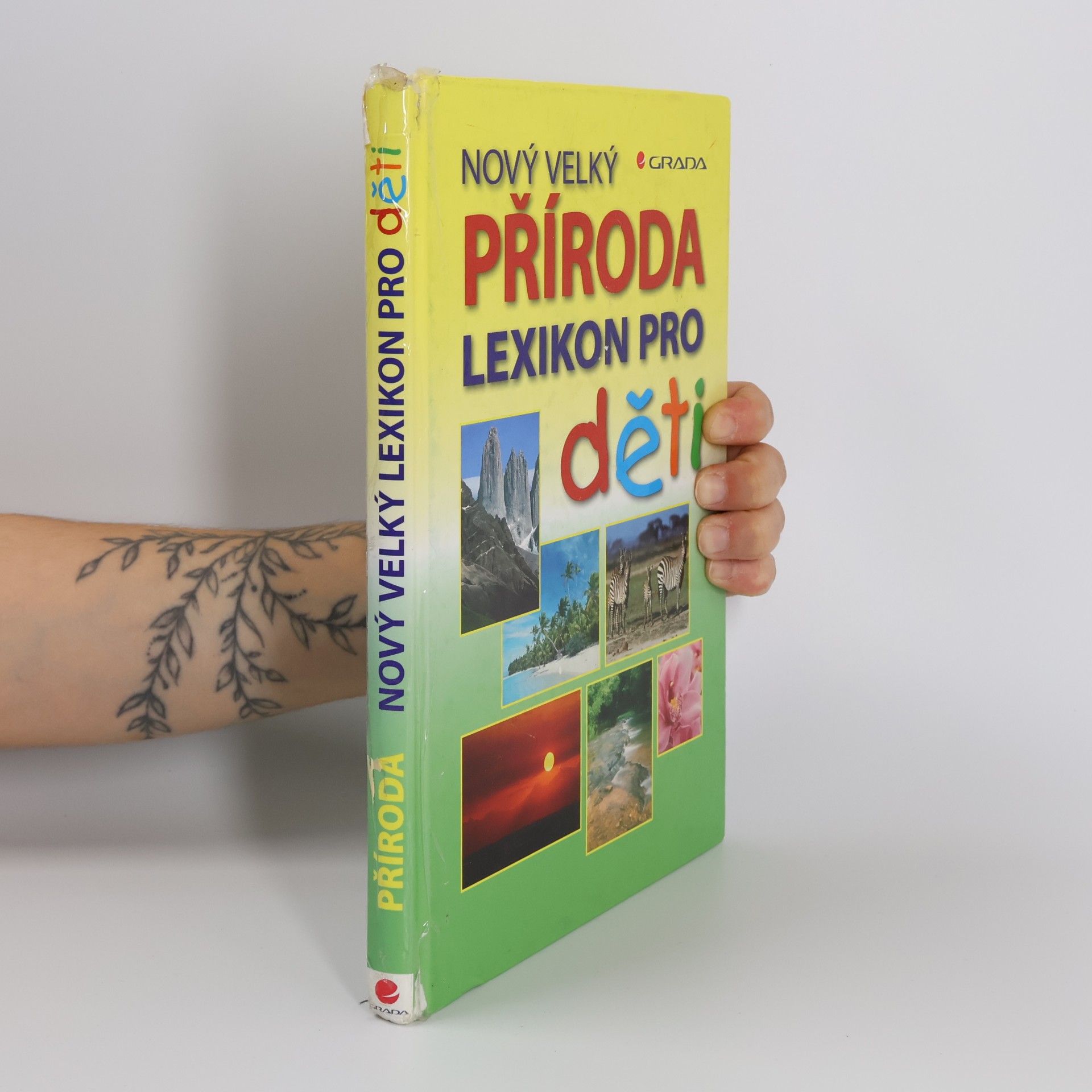 Knoke Marlies Příroda: Nový velký lexikon pro děti