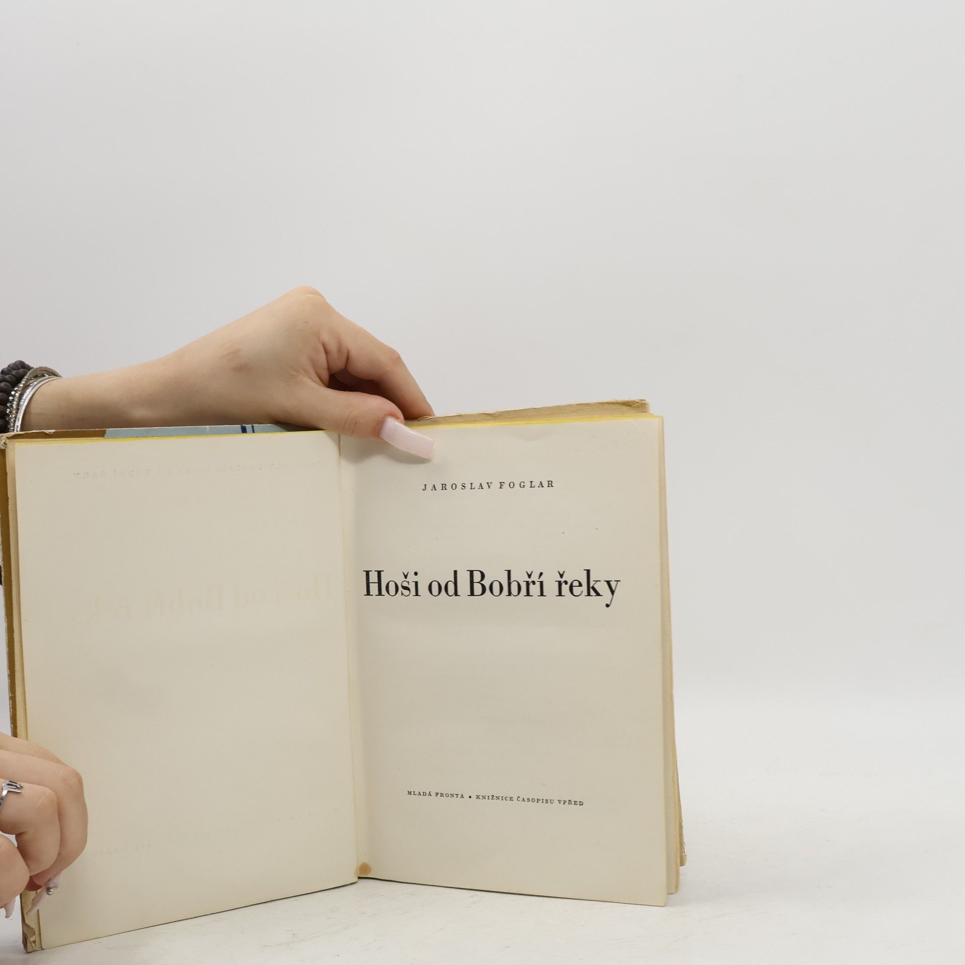 Jaroslav Foglar Hoši od Bobří řeky
