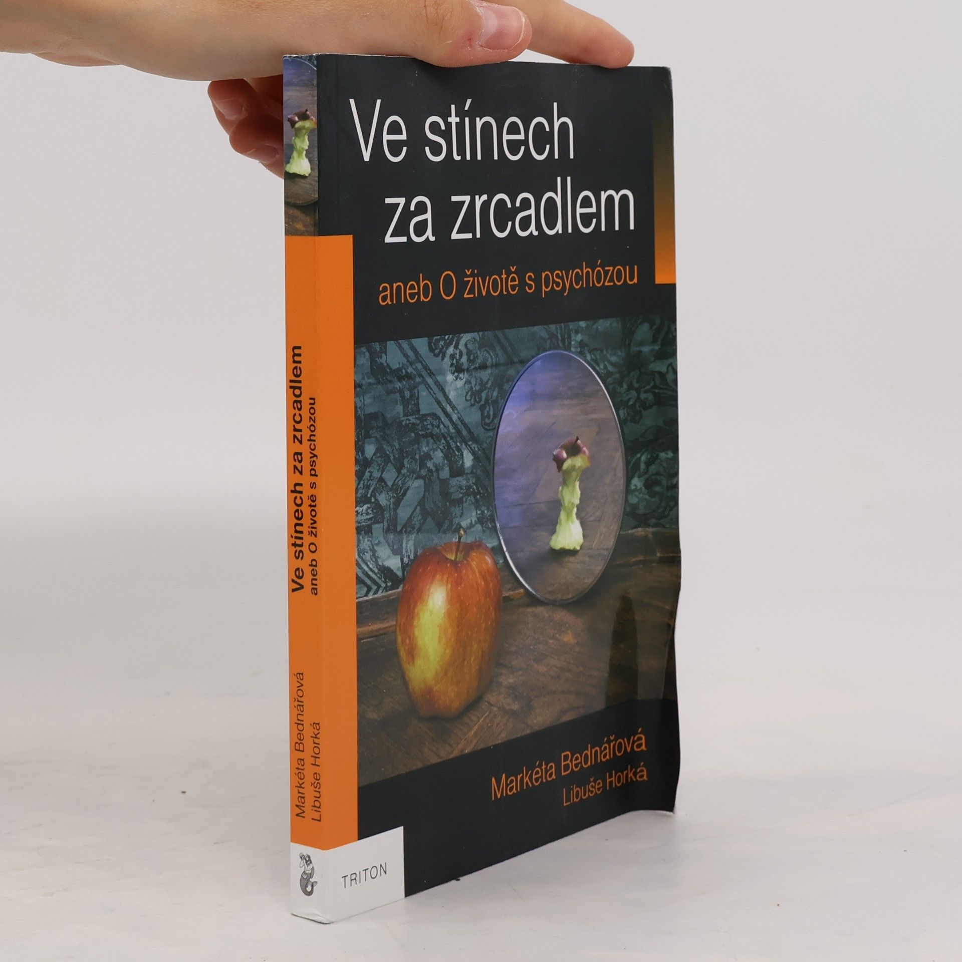 Ve stínech za zrcadlem aneb O životě s psychózou