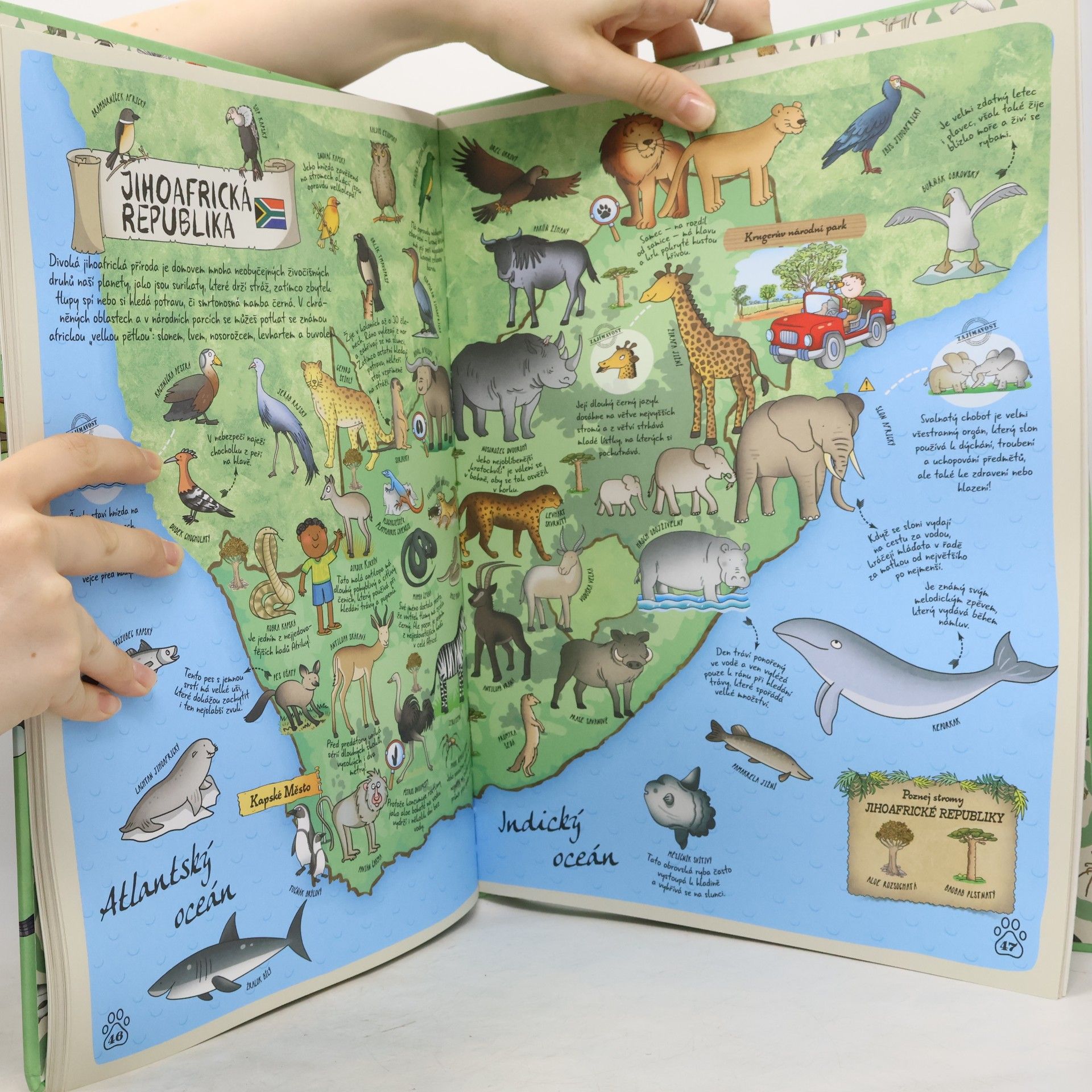 Paola Grimaldi Atlas zvířat celého světa