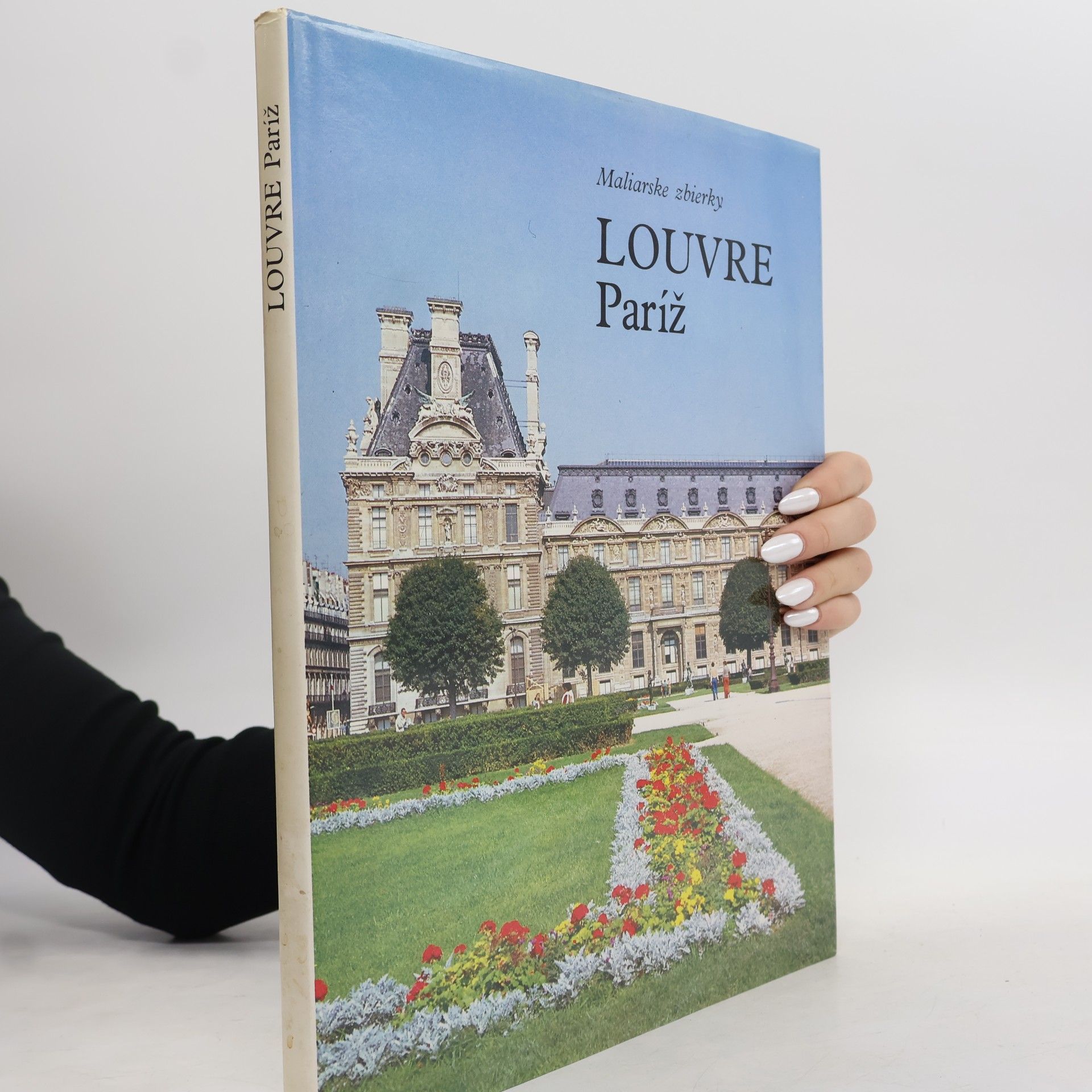 Arnauld Bréjon de Lavergnée Louvre Paríž : Maliarske zbierky