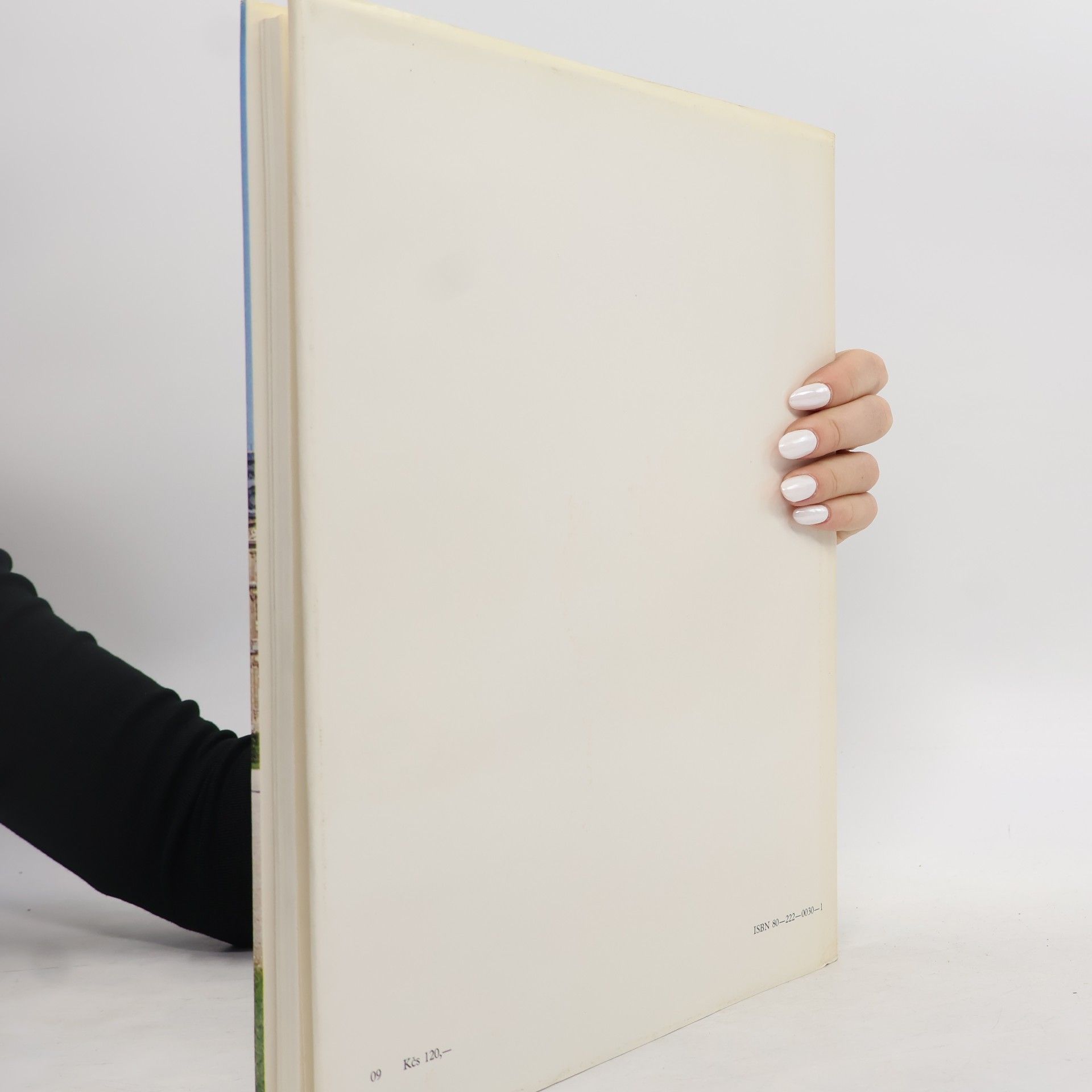 Mia Cinotti Louvre Paríž : Maliarske zbierky