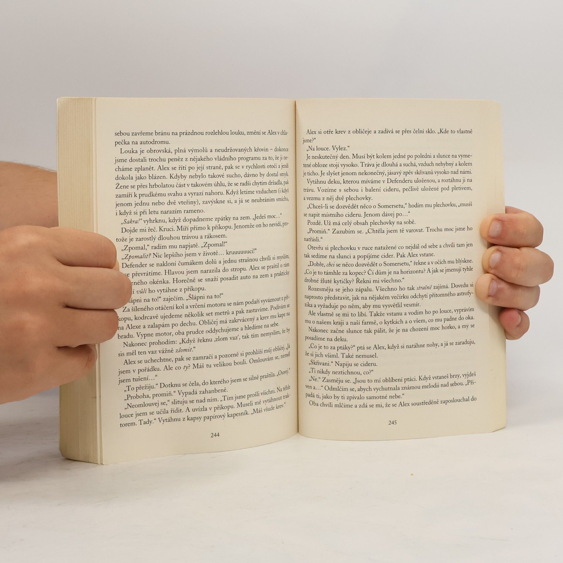 Sophie Kinsella Můj (téměř) dokonalý život