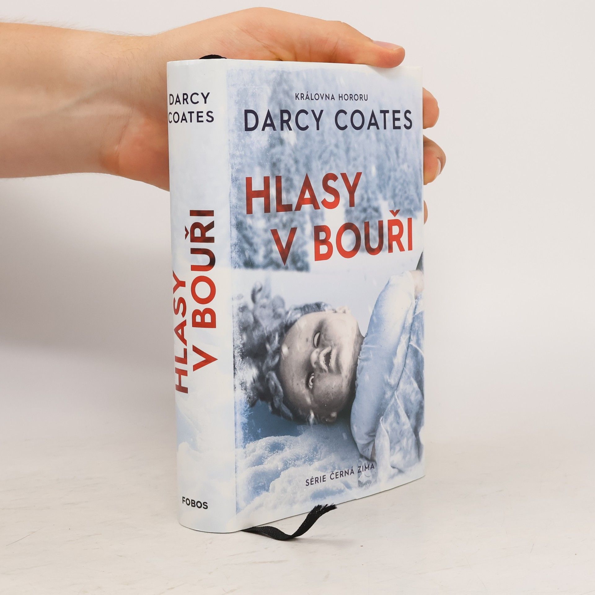 Darcy Coates Hlasy v bouři