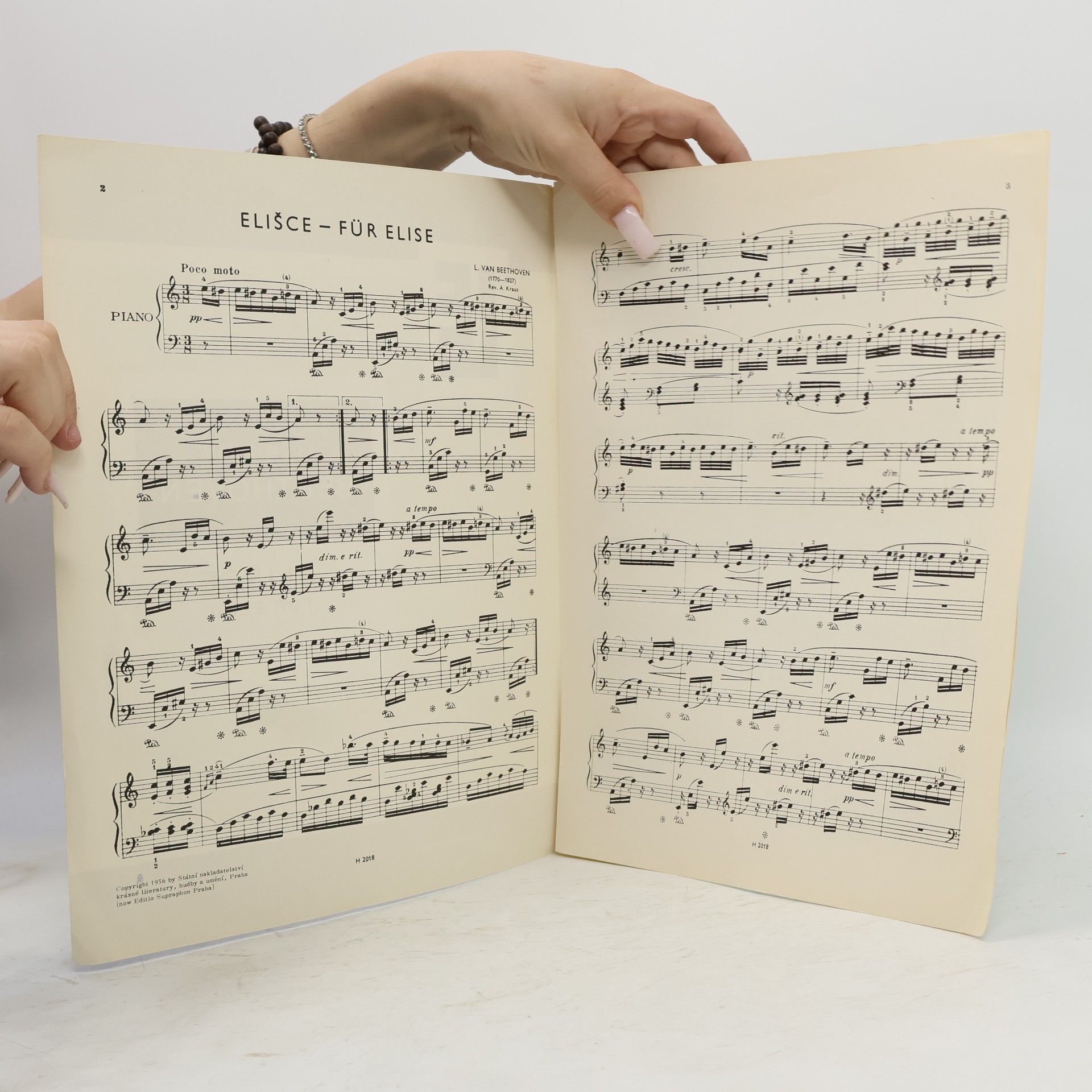 Ludwig van Beethoven Elišce. Für Elise.