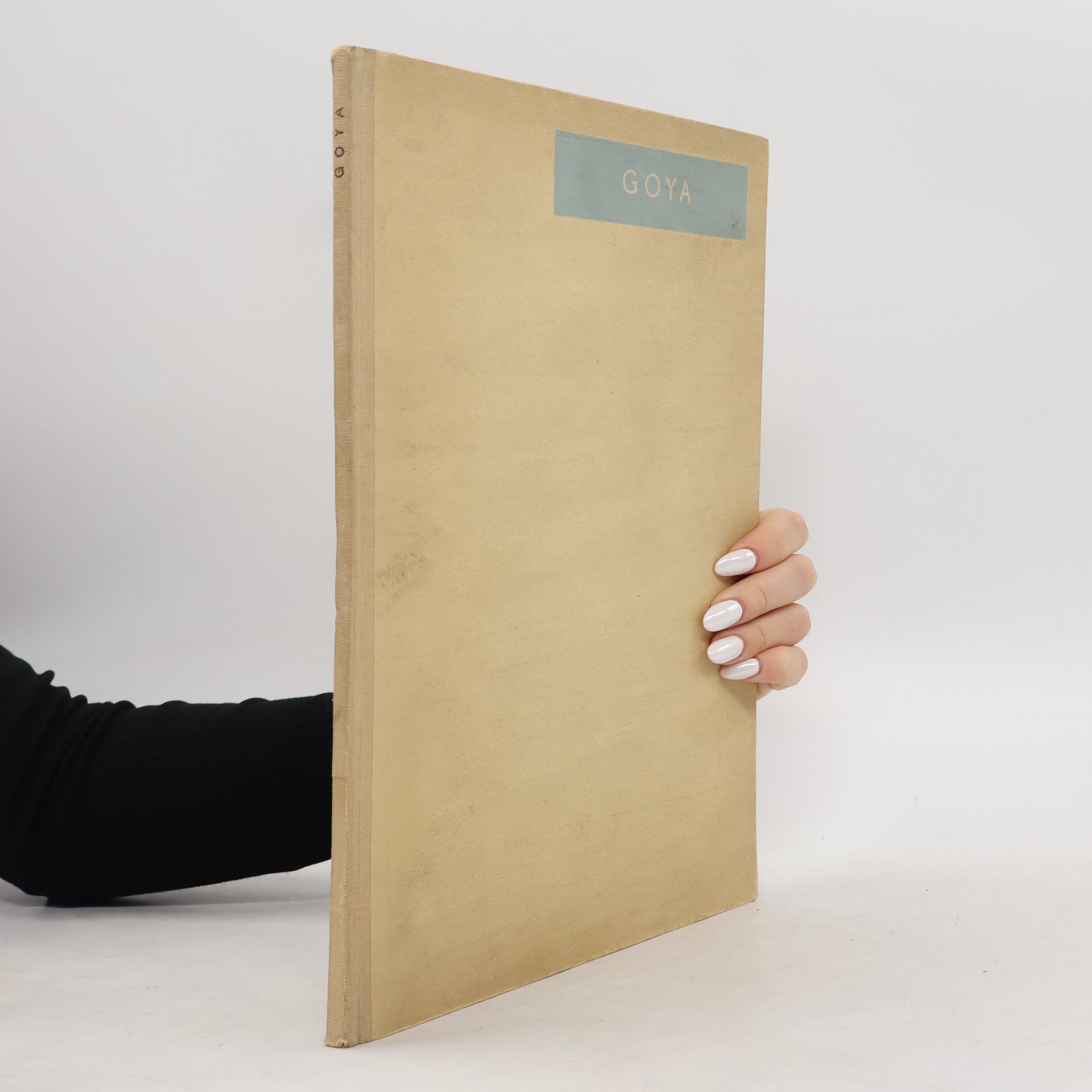 Autores varios Goya