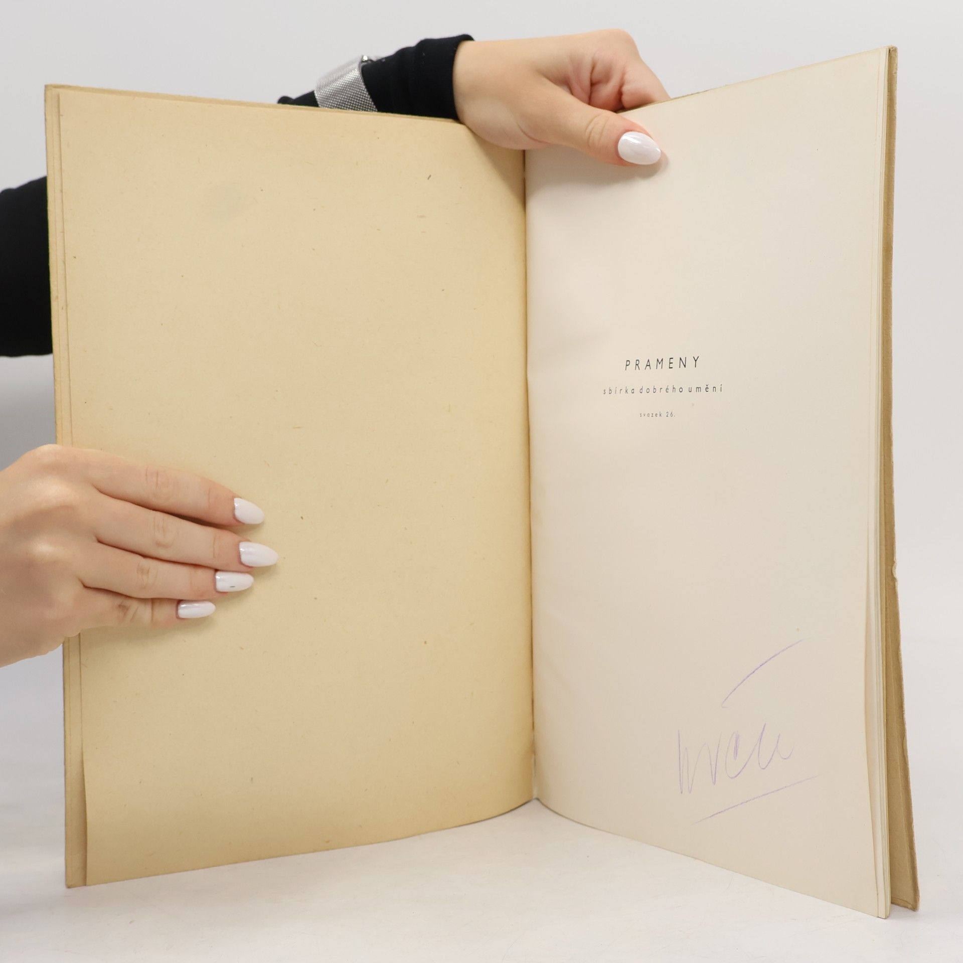 Autores varios Goya