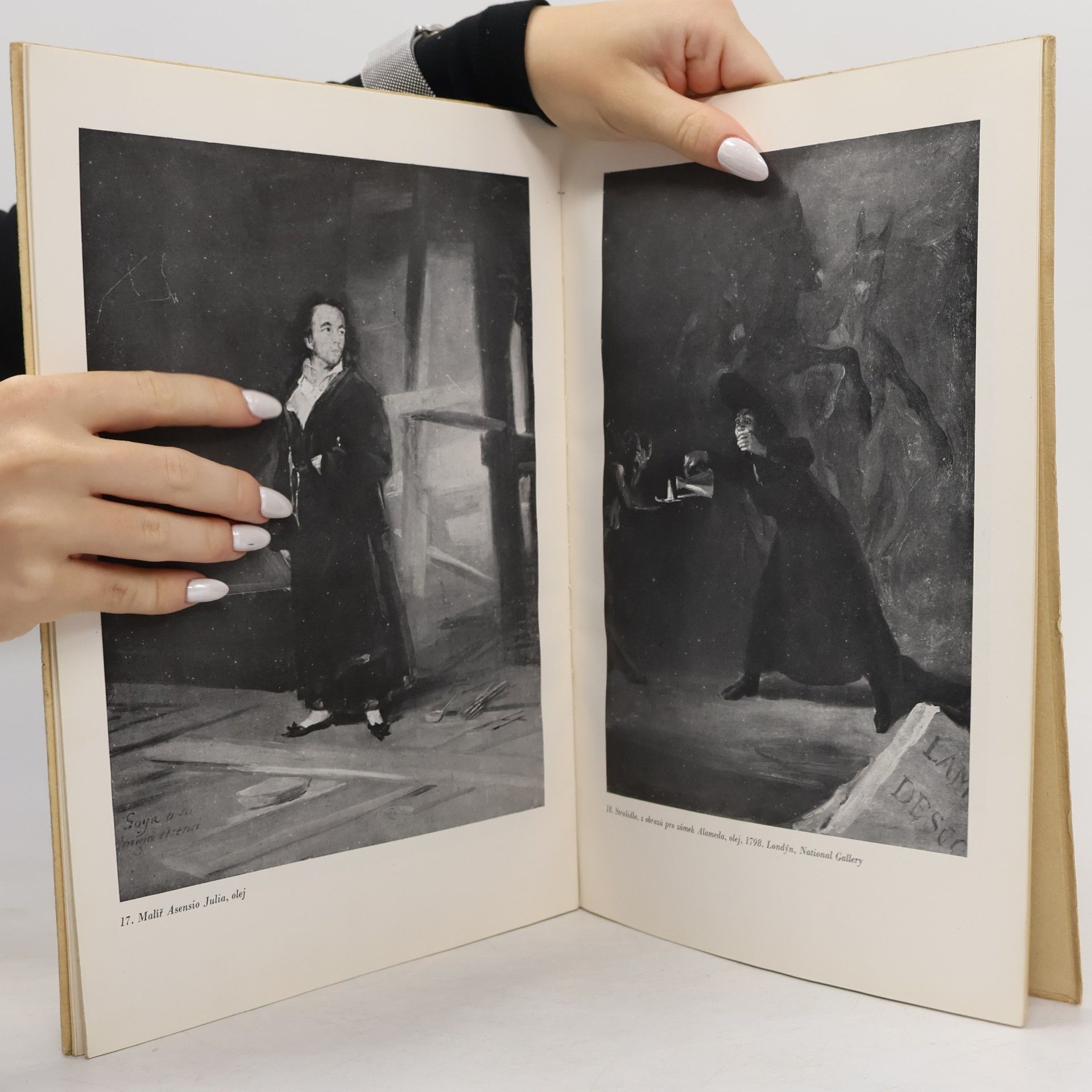 Autores varios Goya
