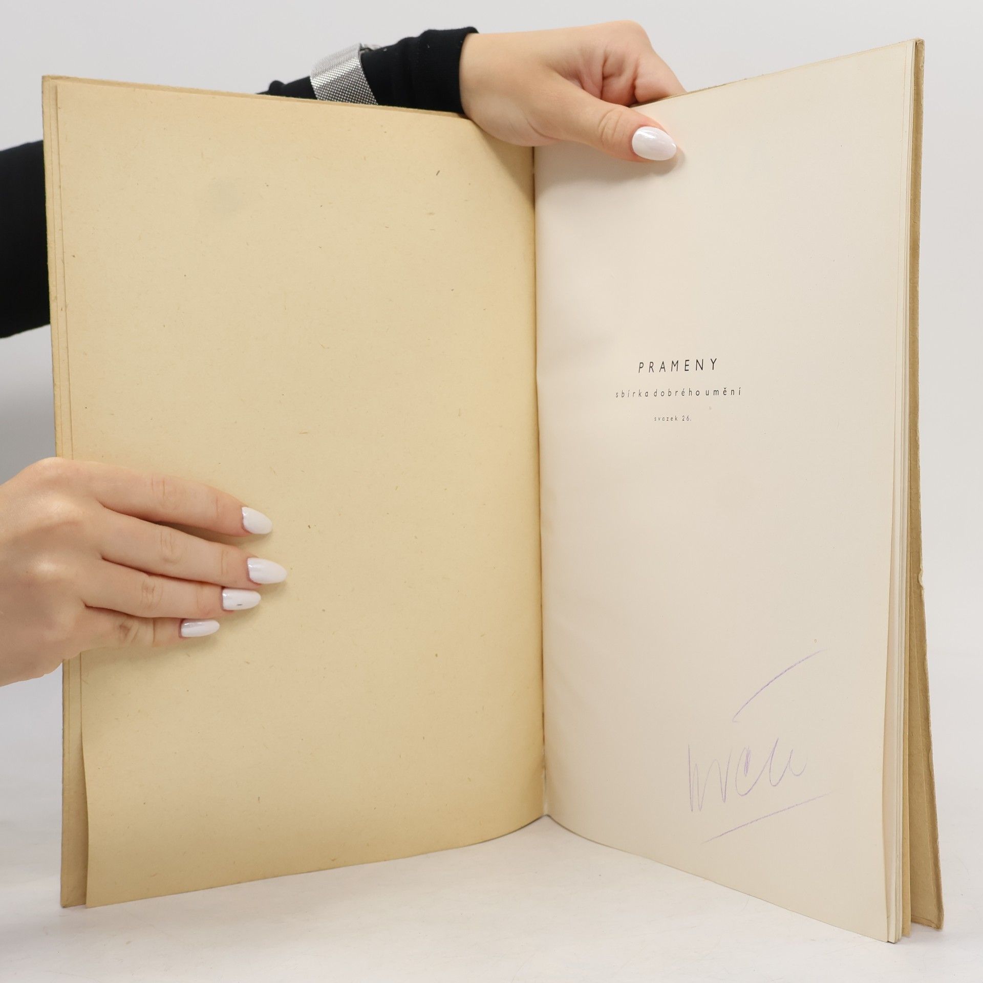 Autores varios Goya
