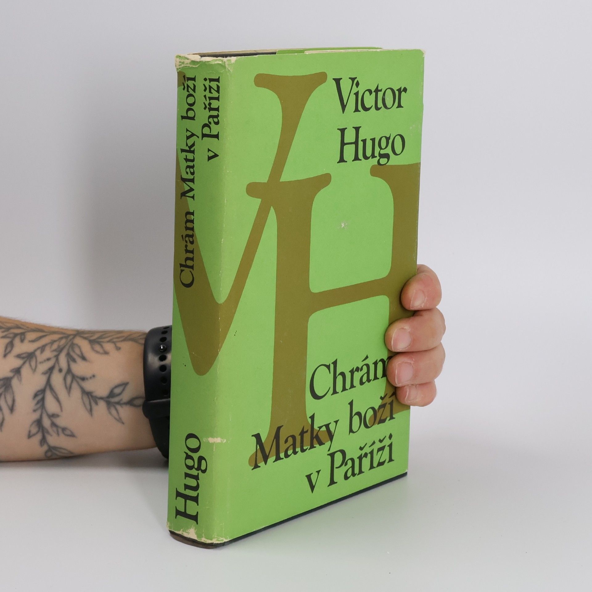 Victor Hugo Chrám Matky boží v Paříži