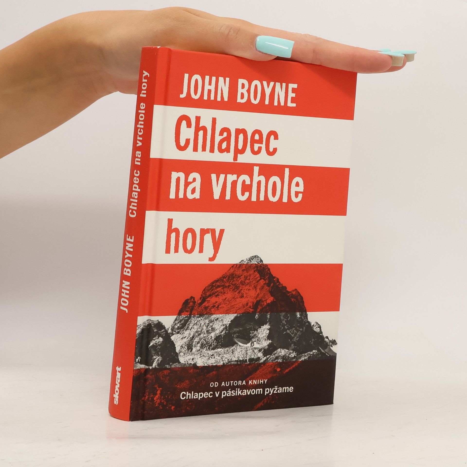 John Boyne Chlapec na vrchole hory