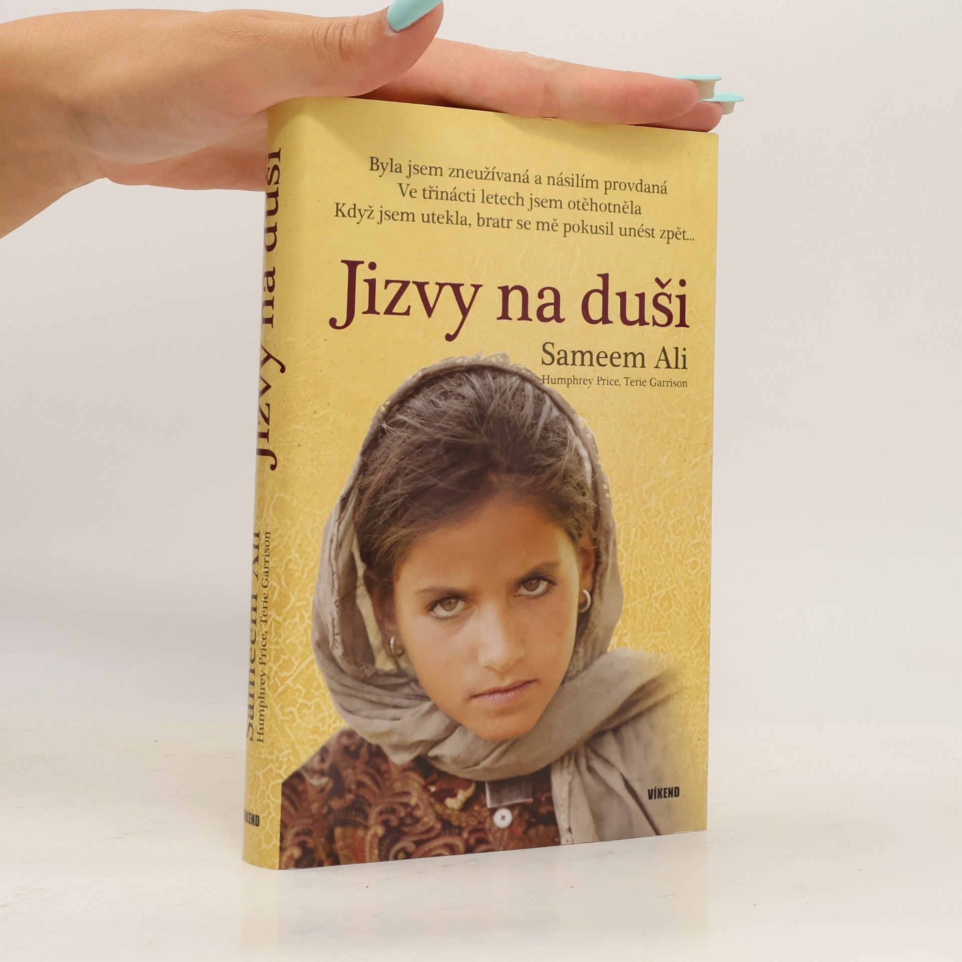 Terie Garrison Jizvy na duši