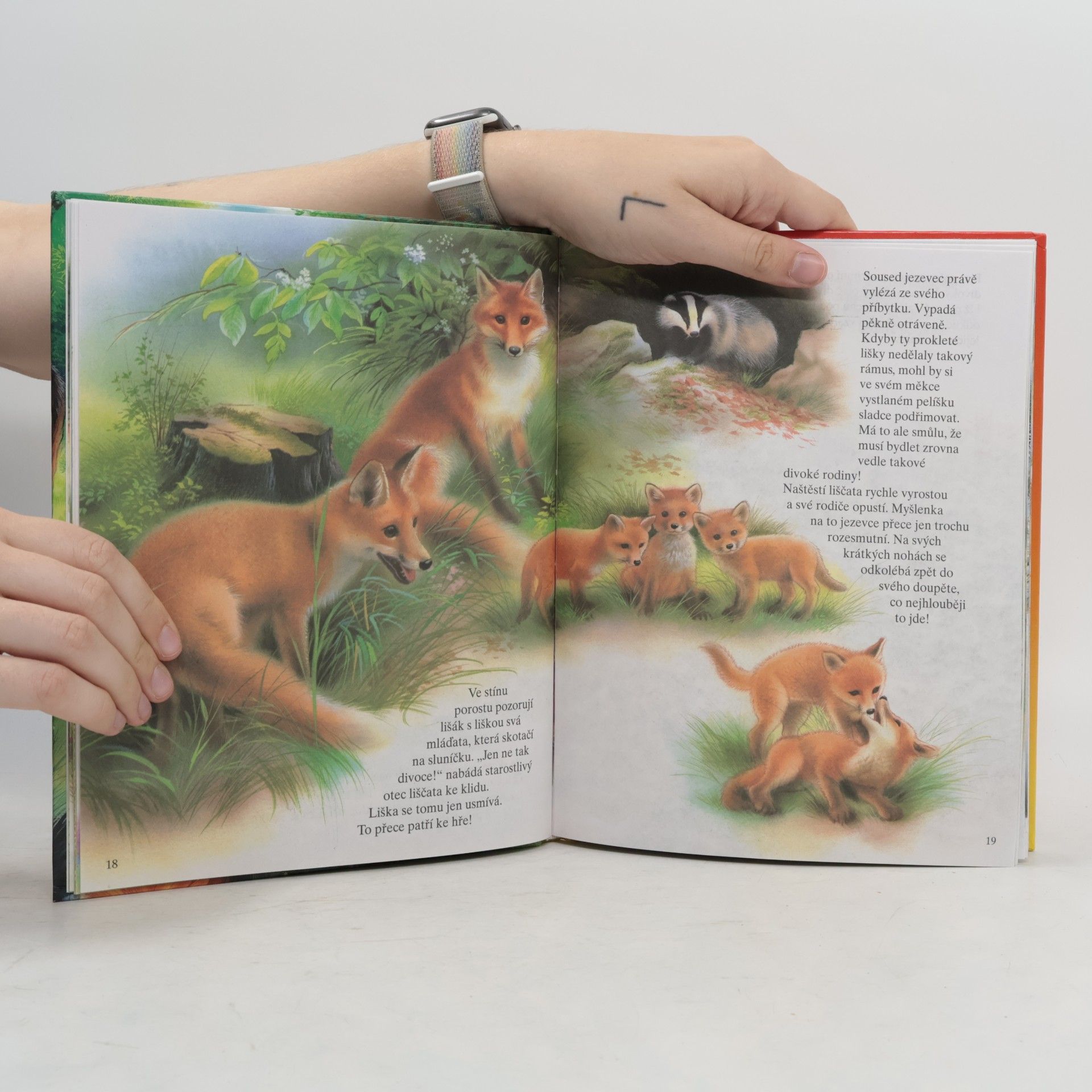 Autores varios Máme rádi zvířátka