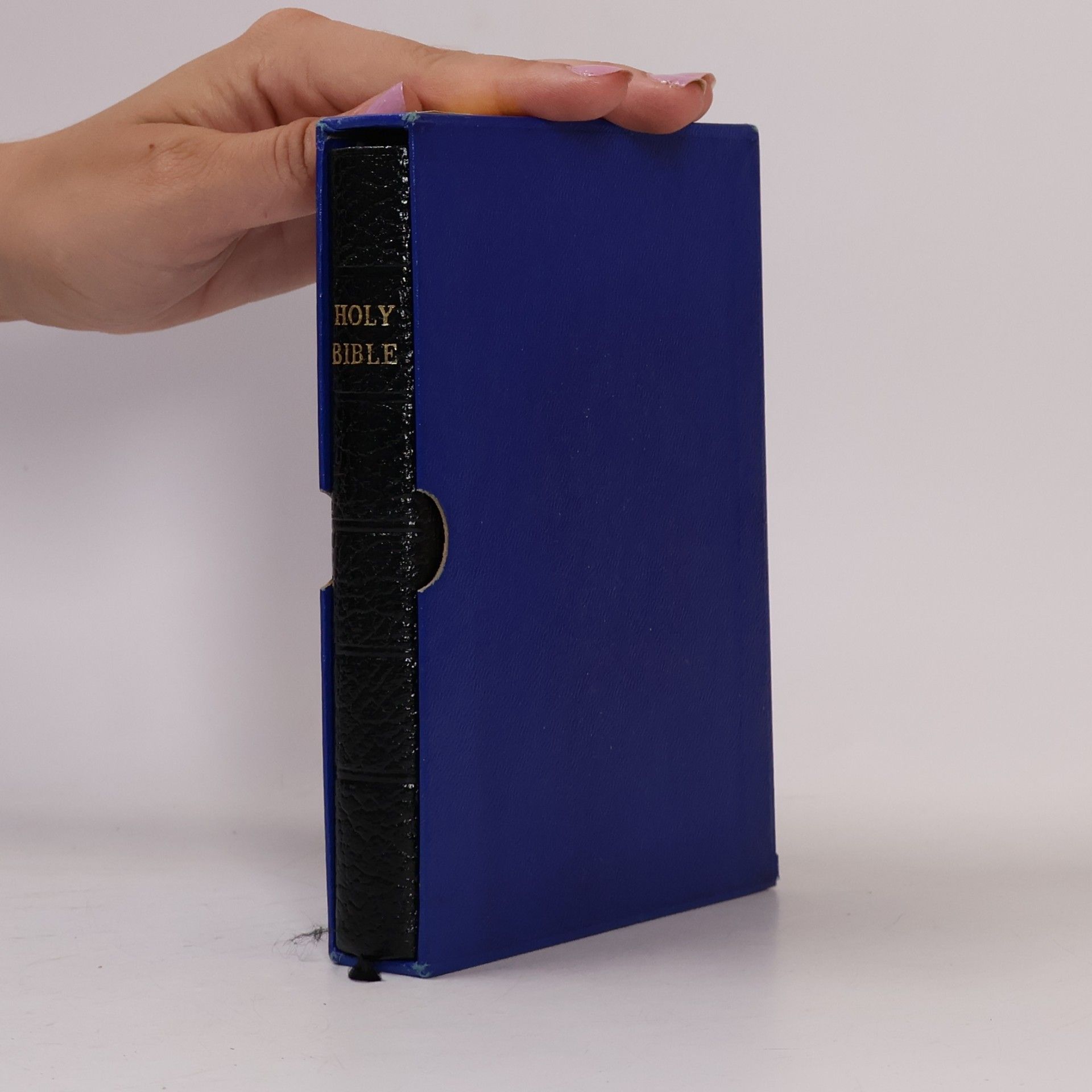 Autorenkollektiv The Holy Bible
