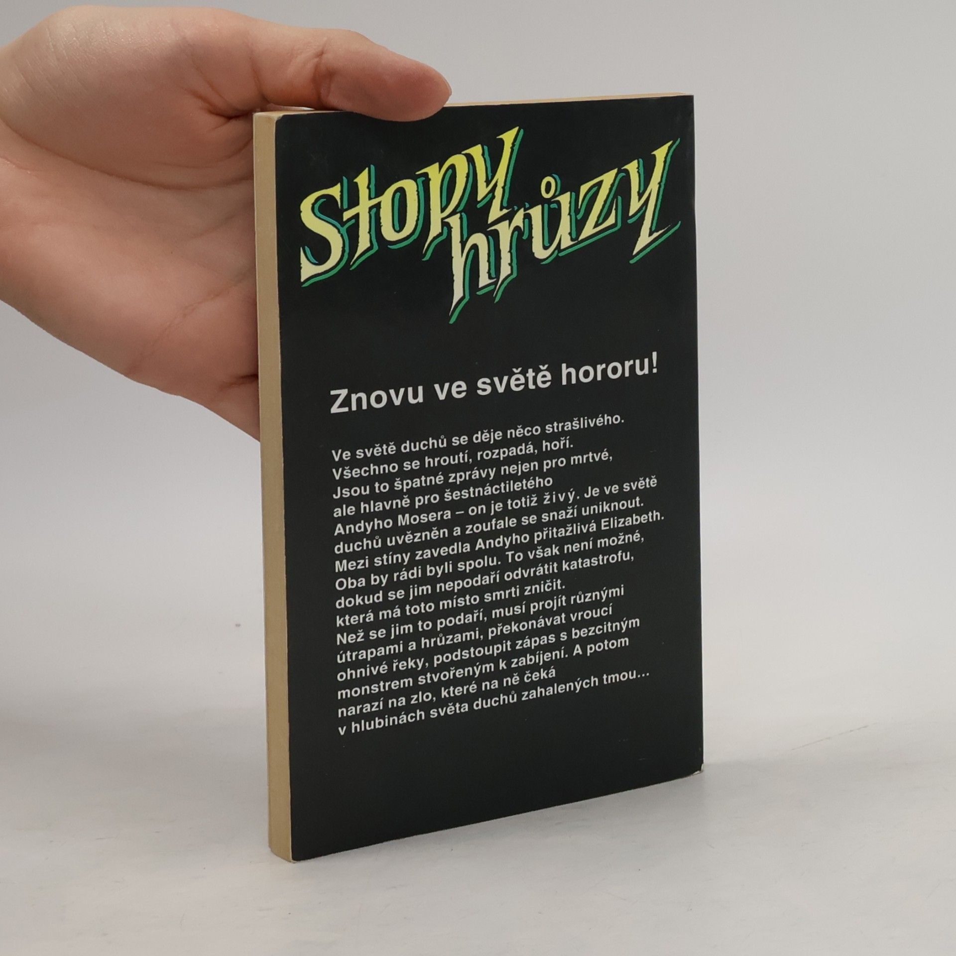 Barbara Siegel Stopy hrůzy 9. Temný oheň