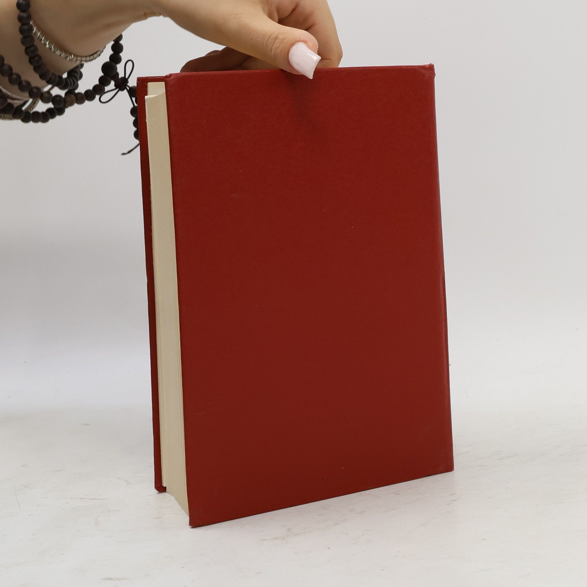 Kolektiv autorů Practical English Dictionary