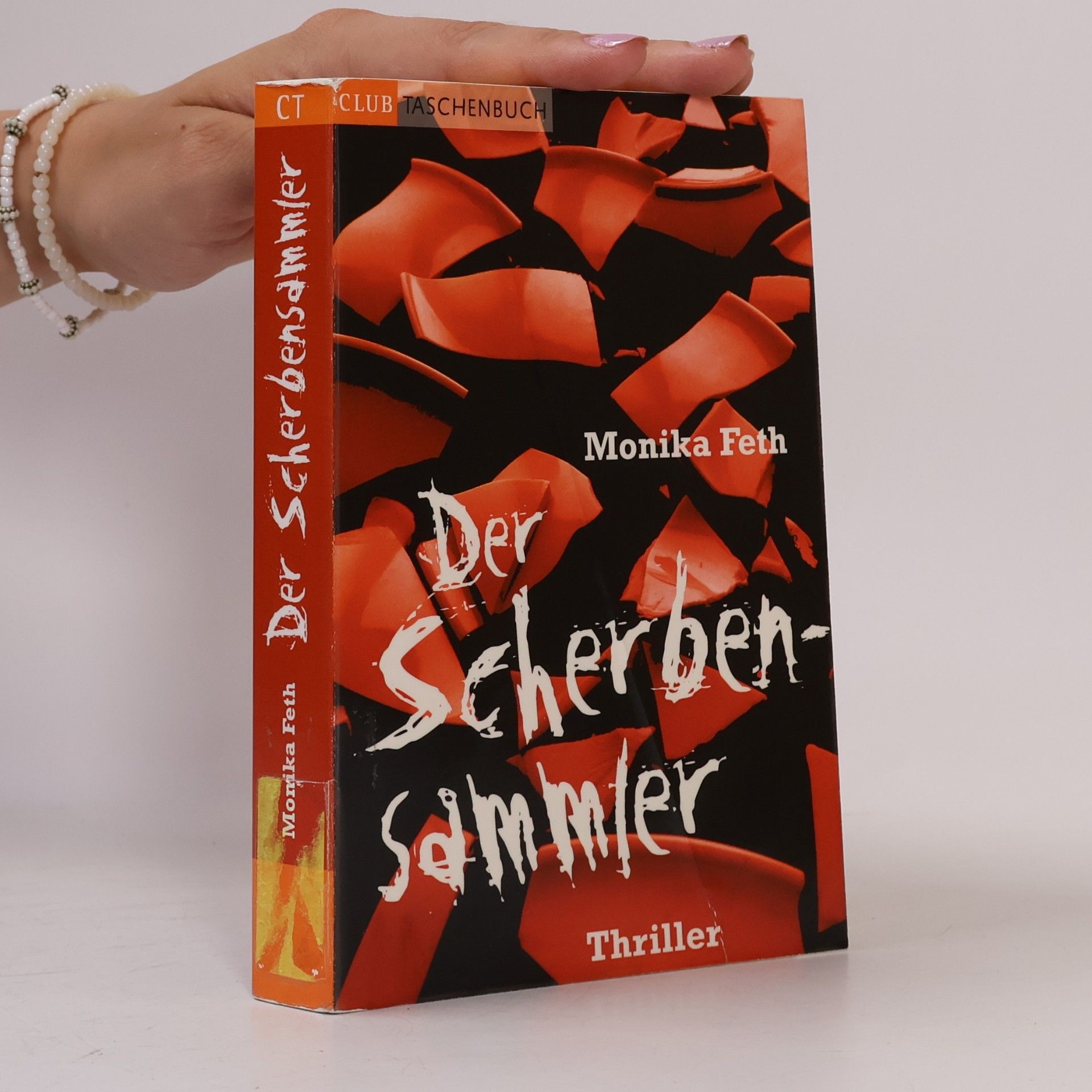 Monika Feth Der Scherbensammler