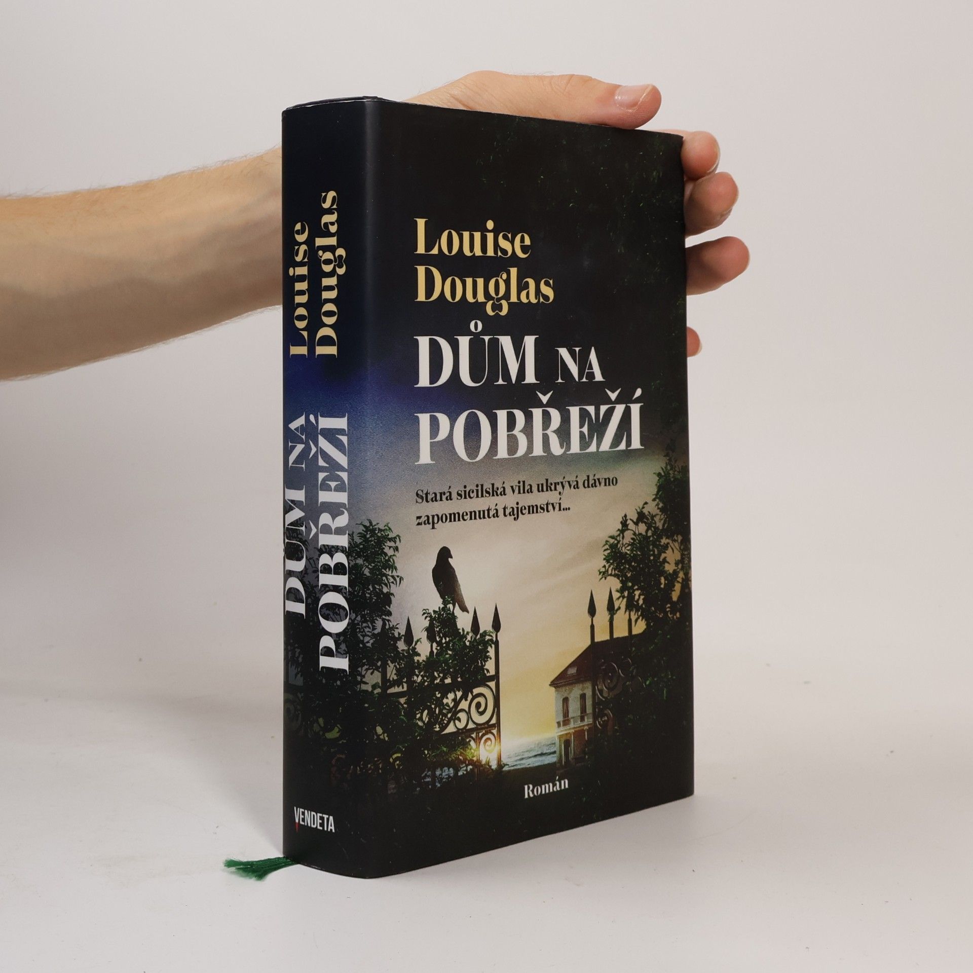 Pavla Koós Dům na pobřeží