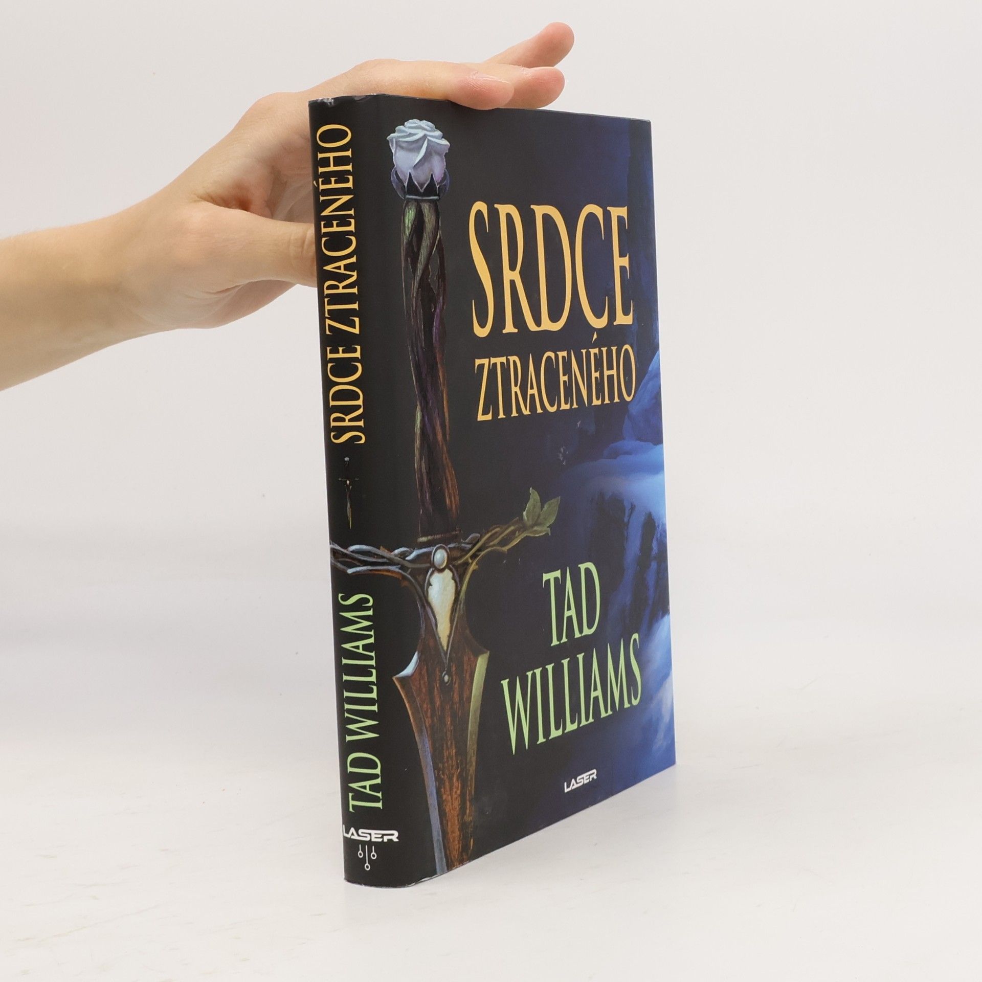 Tad Williams Srdce ztraceného