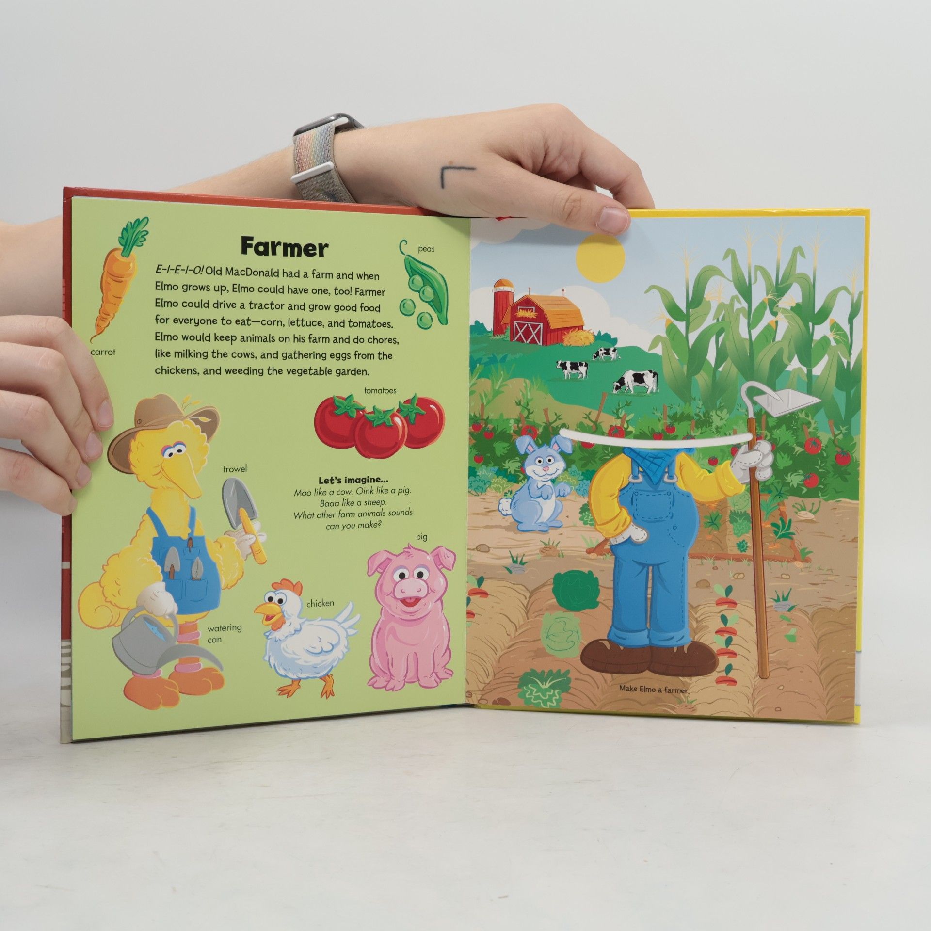 Reader's Digest Association Sesame Street: What Will Elmo Be?