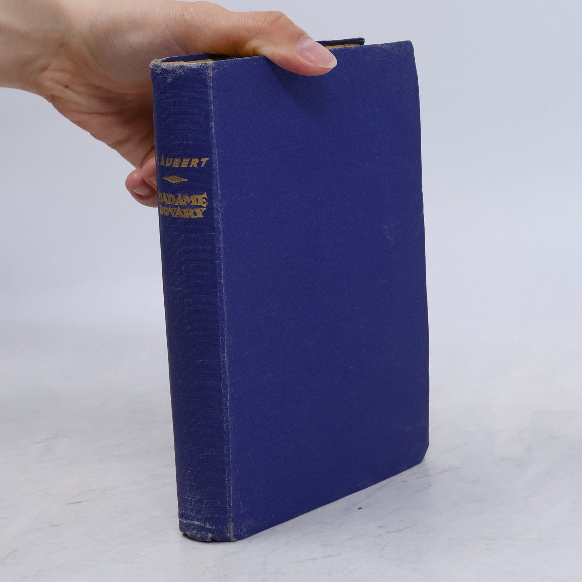 Gustave Flaubert Madame Bovary