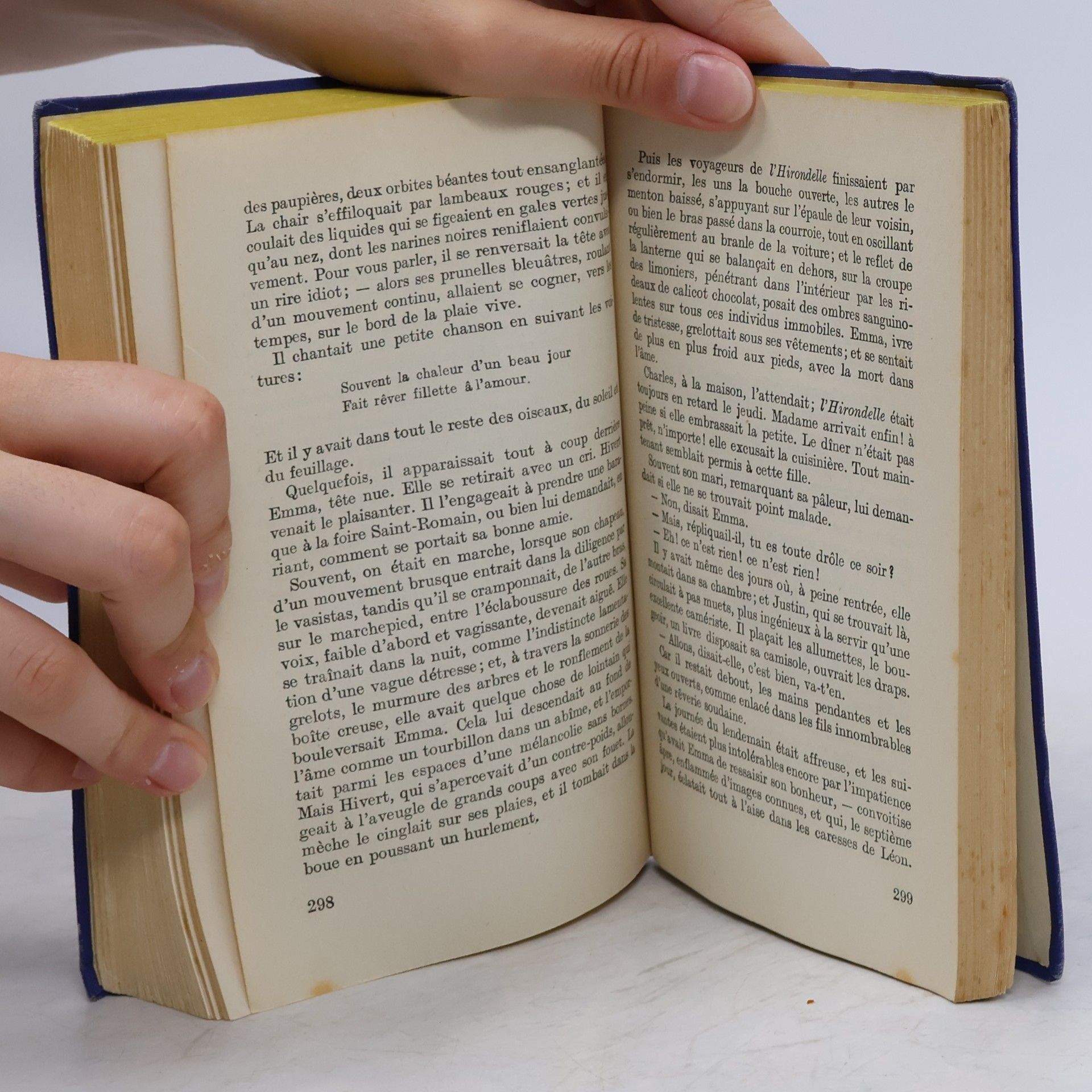 Gustave Flaubert Madame Bovary