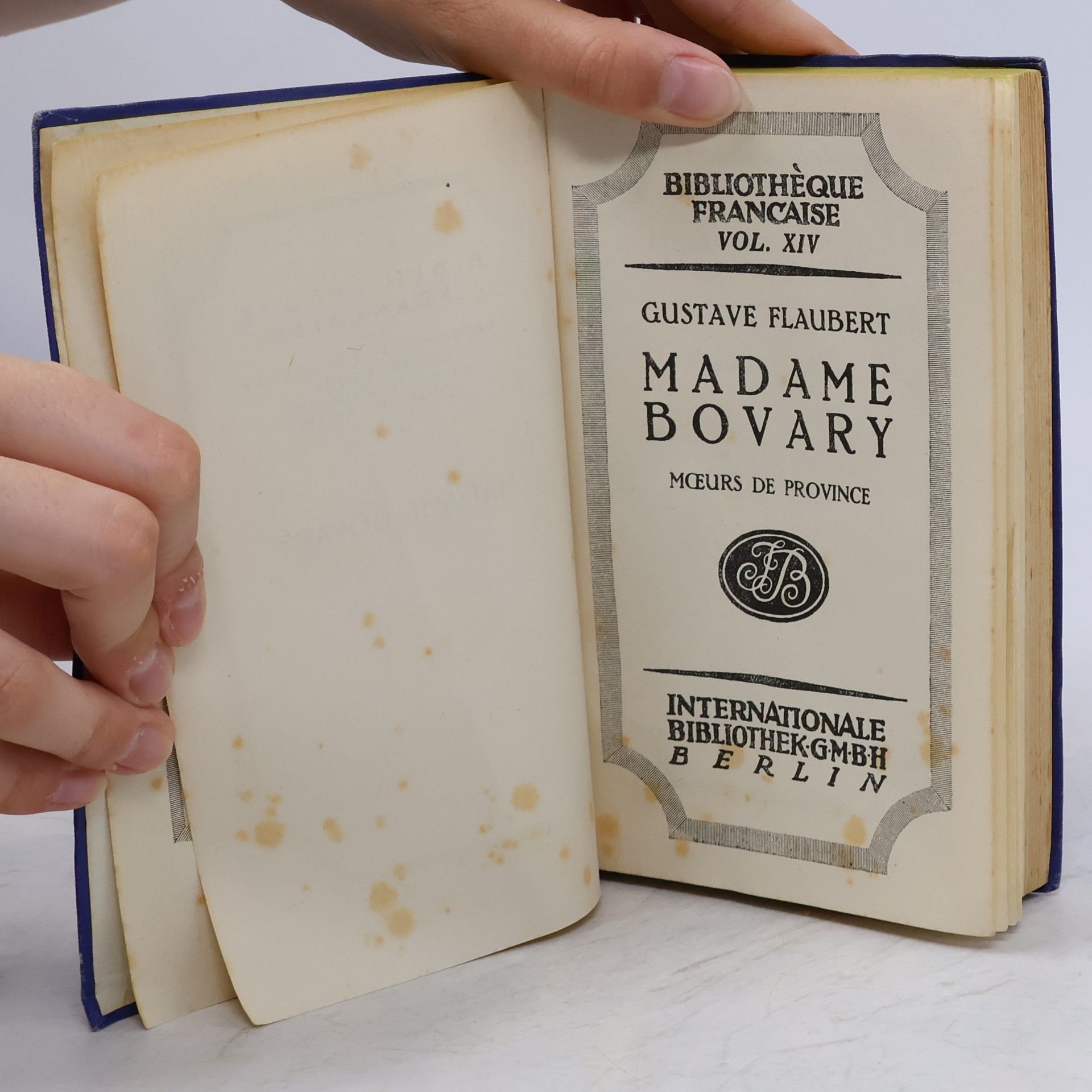 Gustave Flaubert Madame Bovary