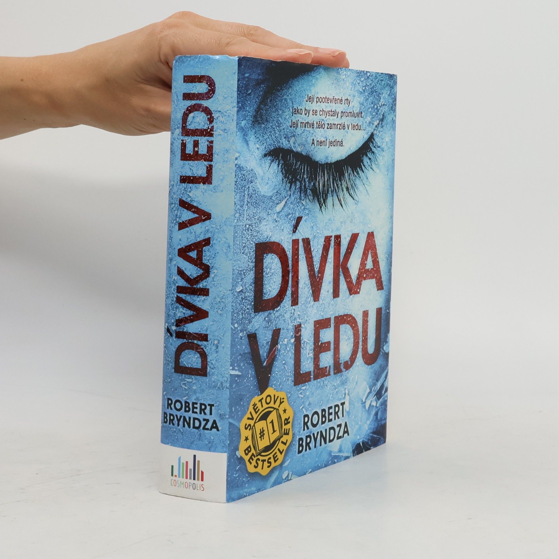 Robert Bryndza Dívka v ledu