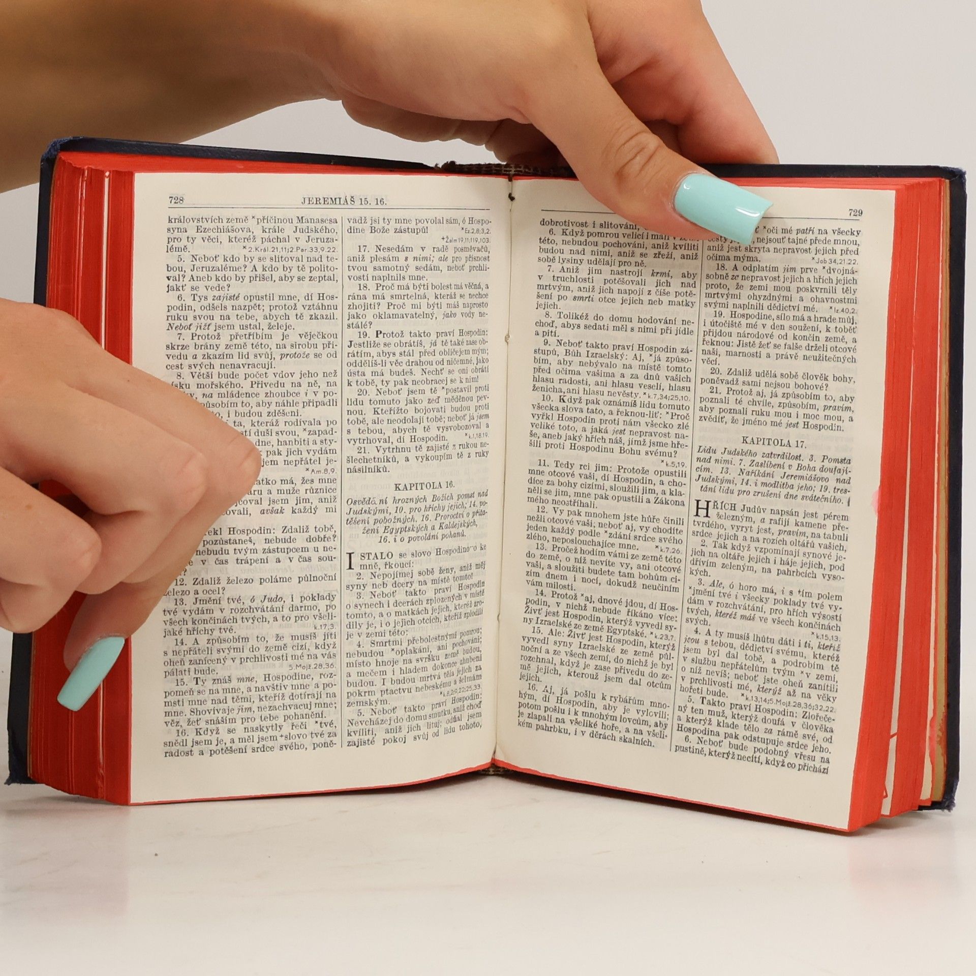 Autorenkollektiv Biblí svatá