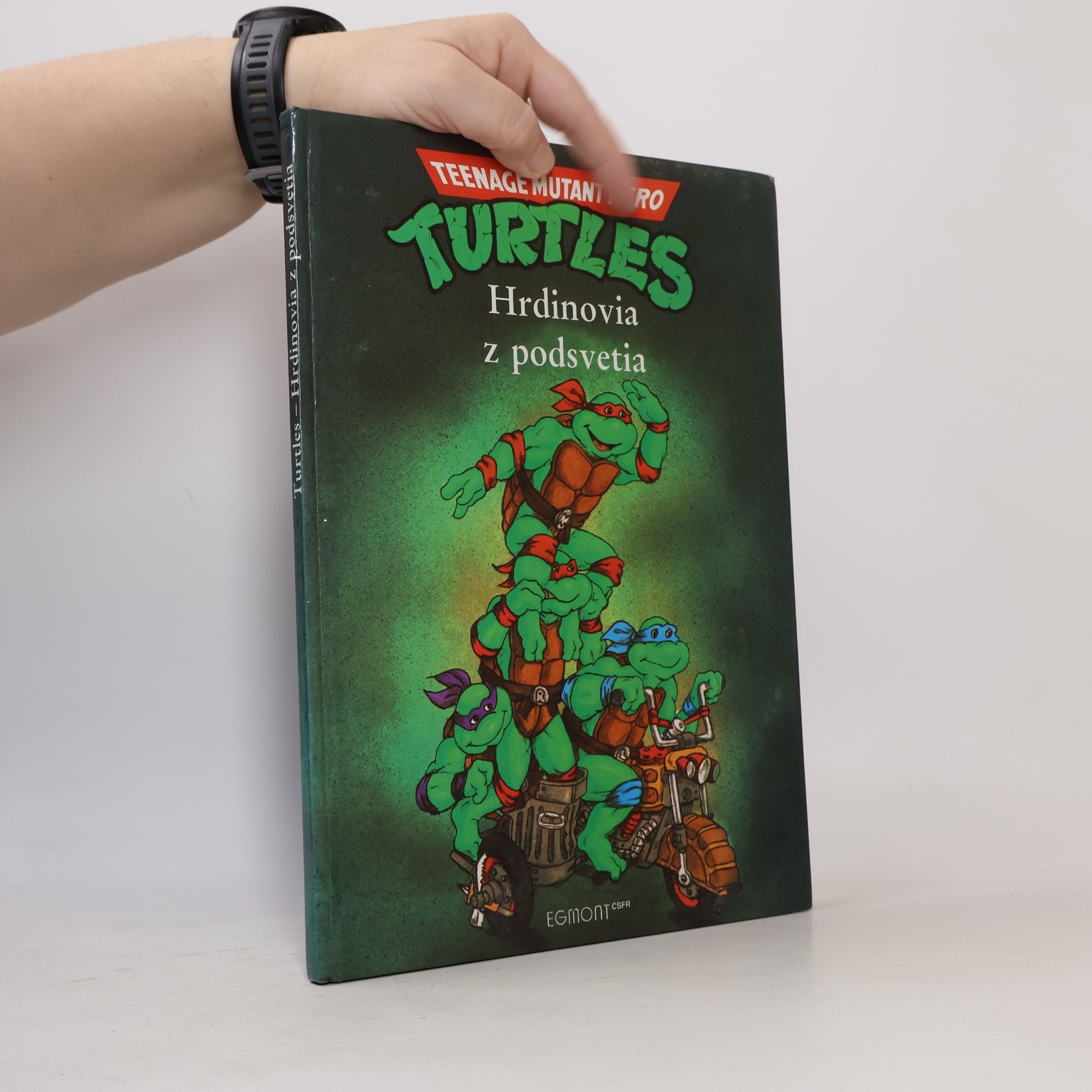 Maureen Spurgeon Turtles - Hrdinovia z podsvetia