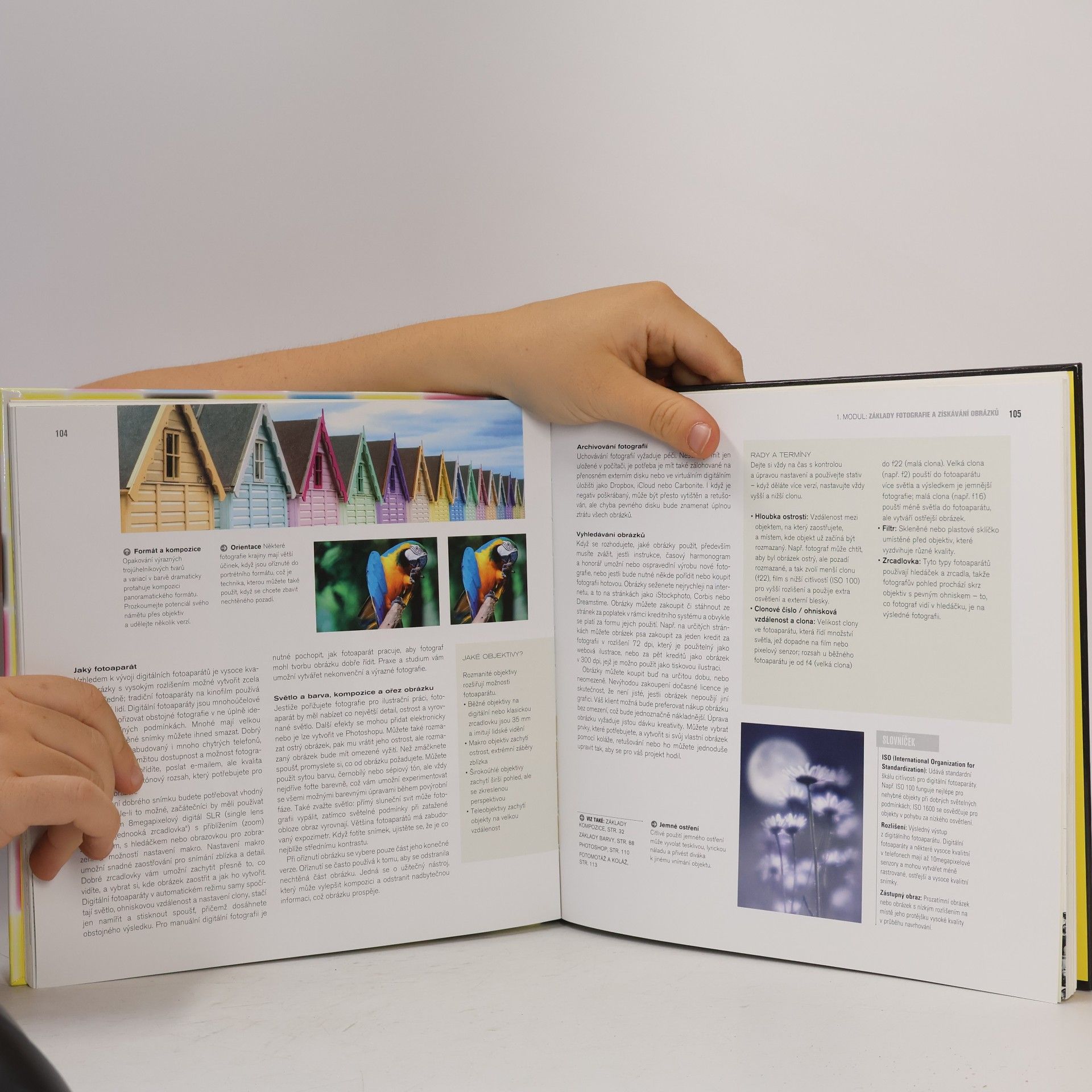David Dabner Škola grafického designu: Principy a praxe grafiky