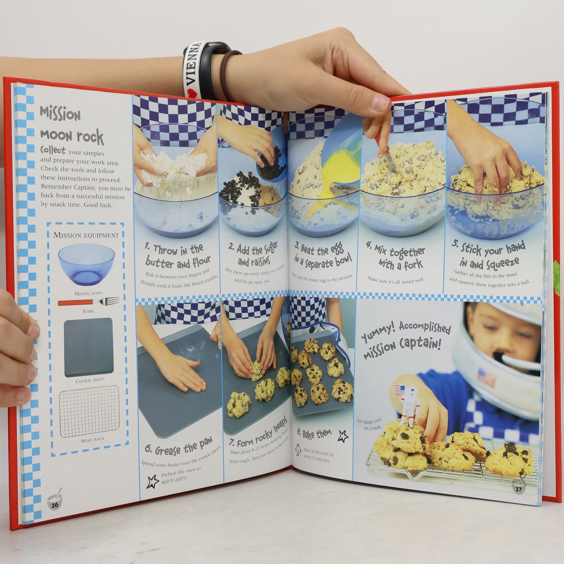 Jane Bull The Cooking Book
