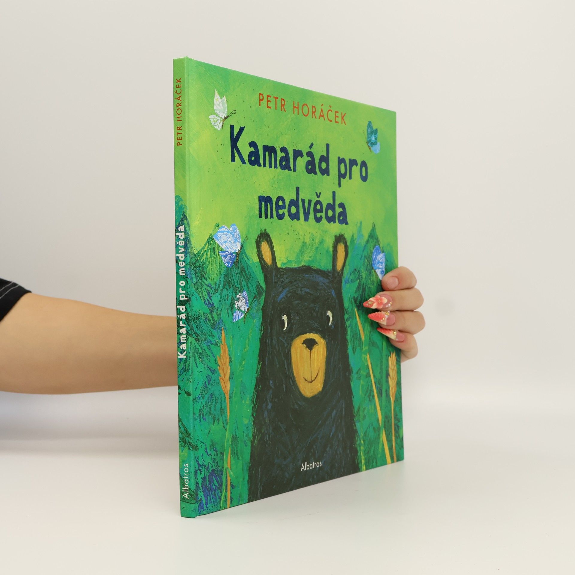 Petr Horáček Kamarád pro medvěda