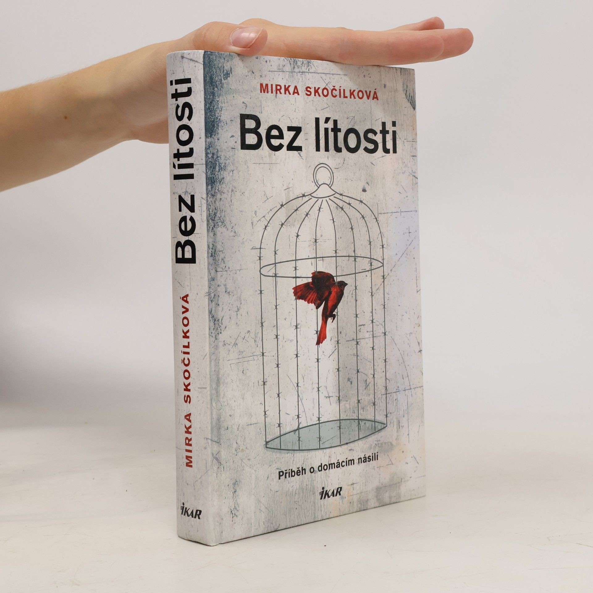 Mirka Skočílková Bez lítosti
