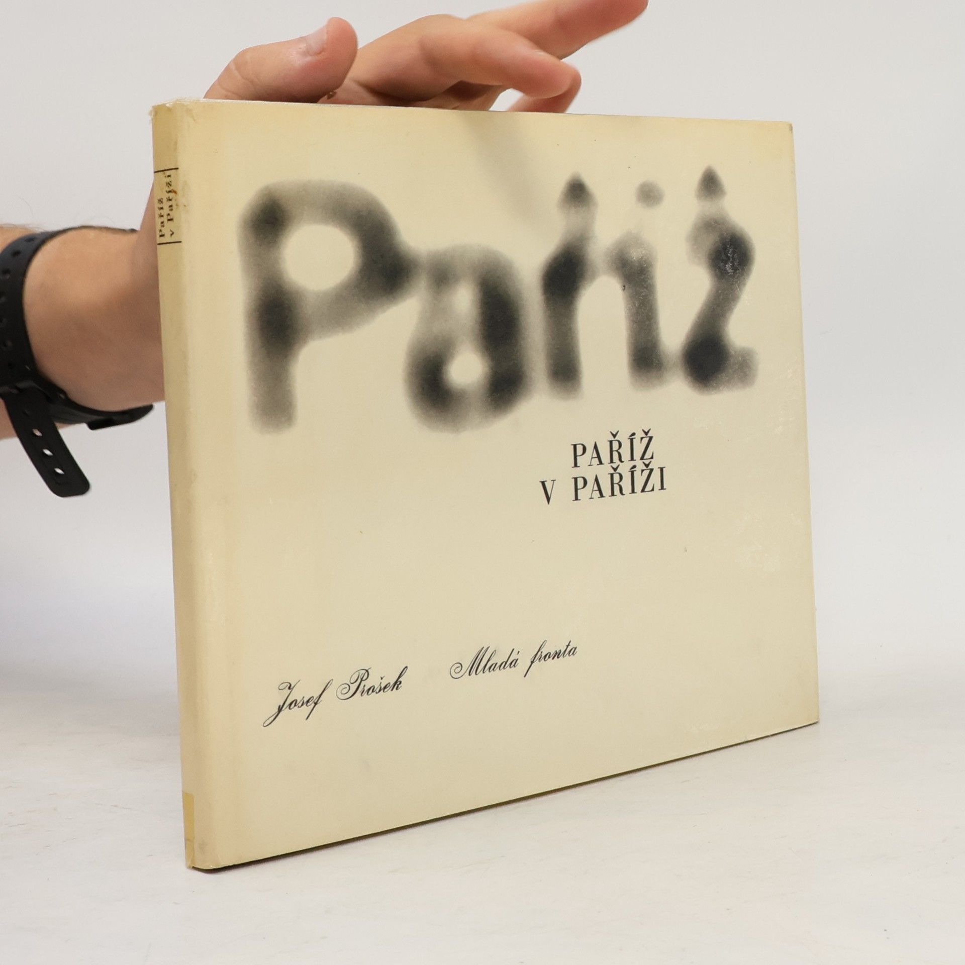 Josef Prošek Paříž v Paříži