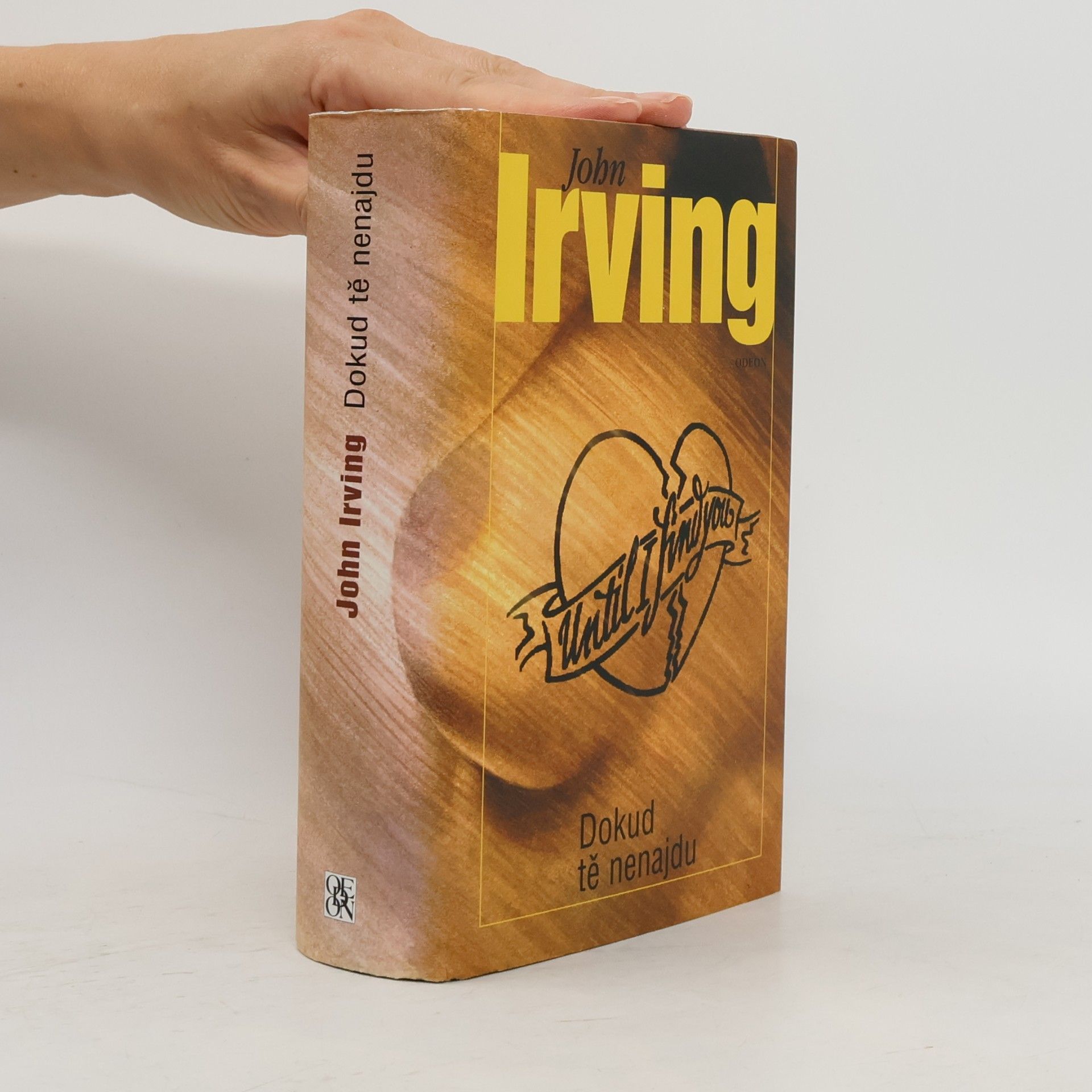 John Irving Dokud tě nenajdu