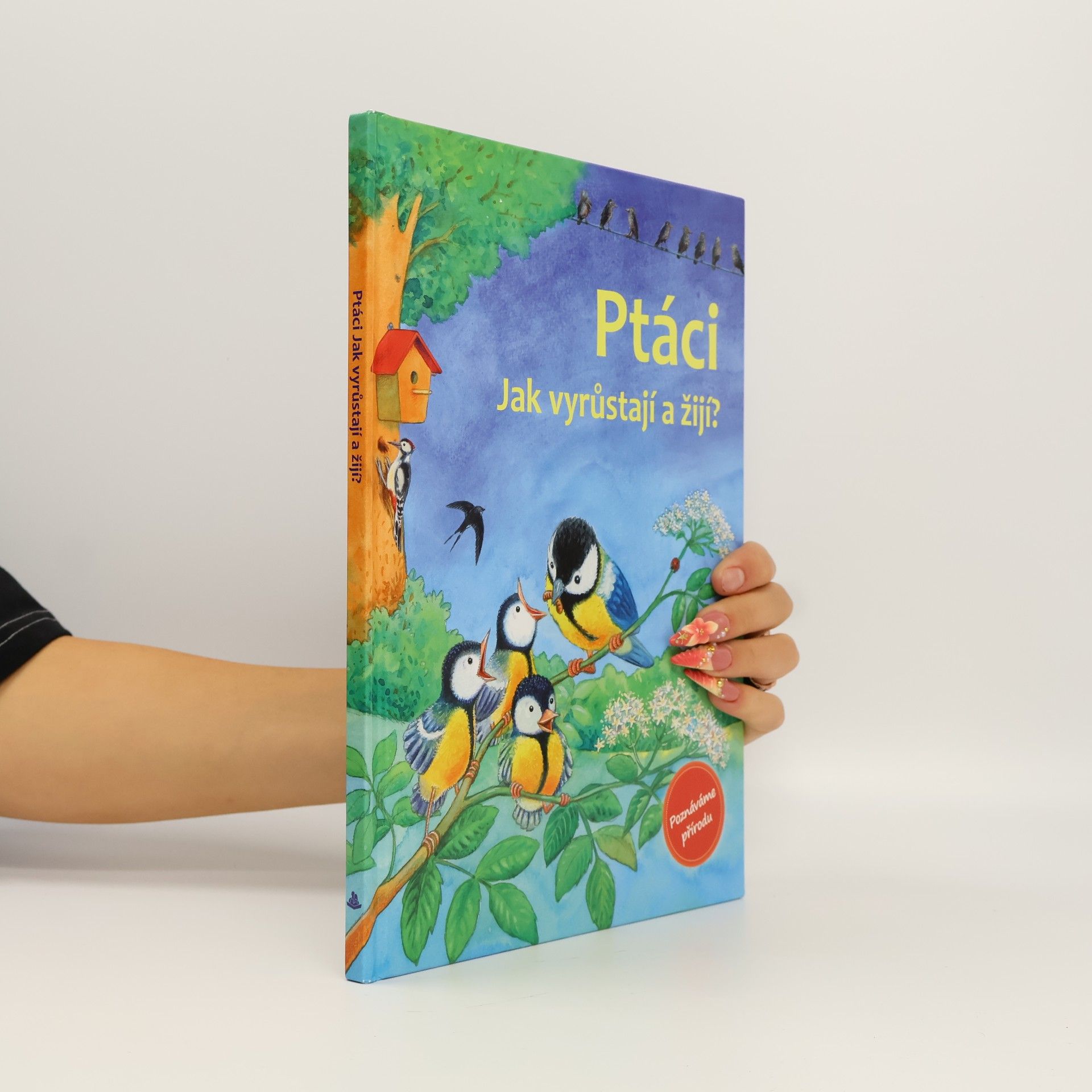 Friederun Reichenstetter Ptáci : Jak vyrůstají a žijí?