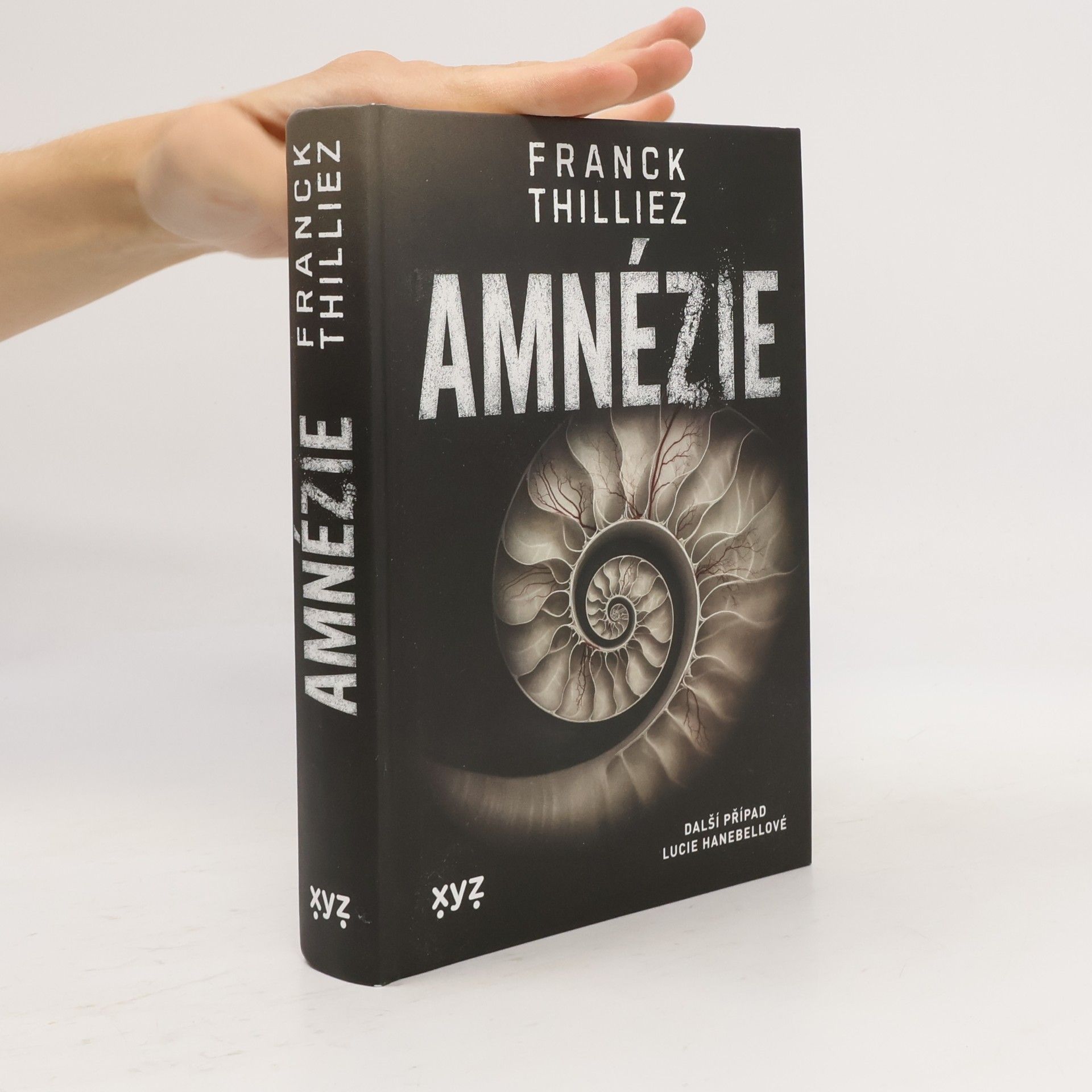 Franck Thilliez Amnézie