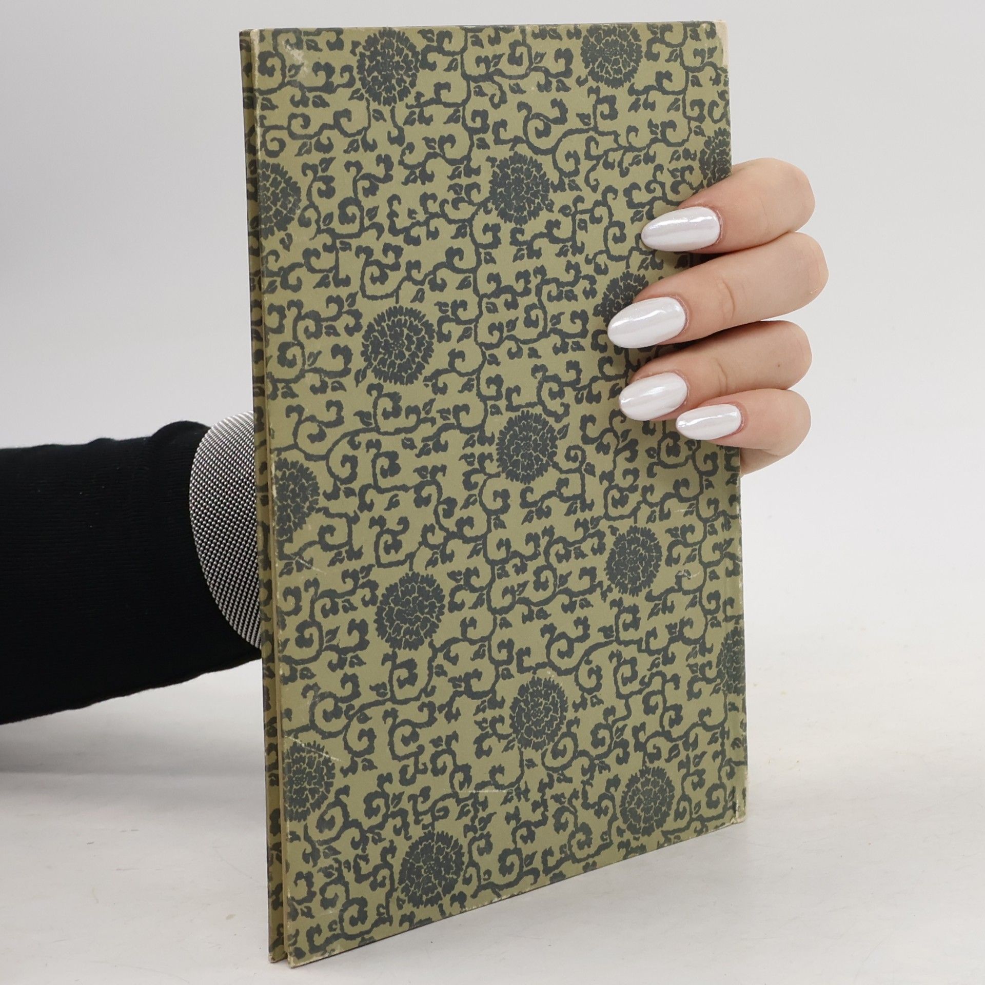 Autores varios Chinesische Holzschnitte