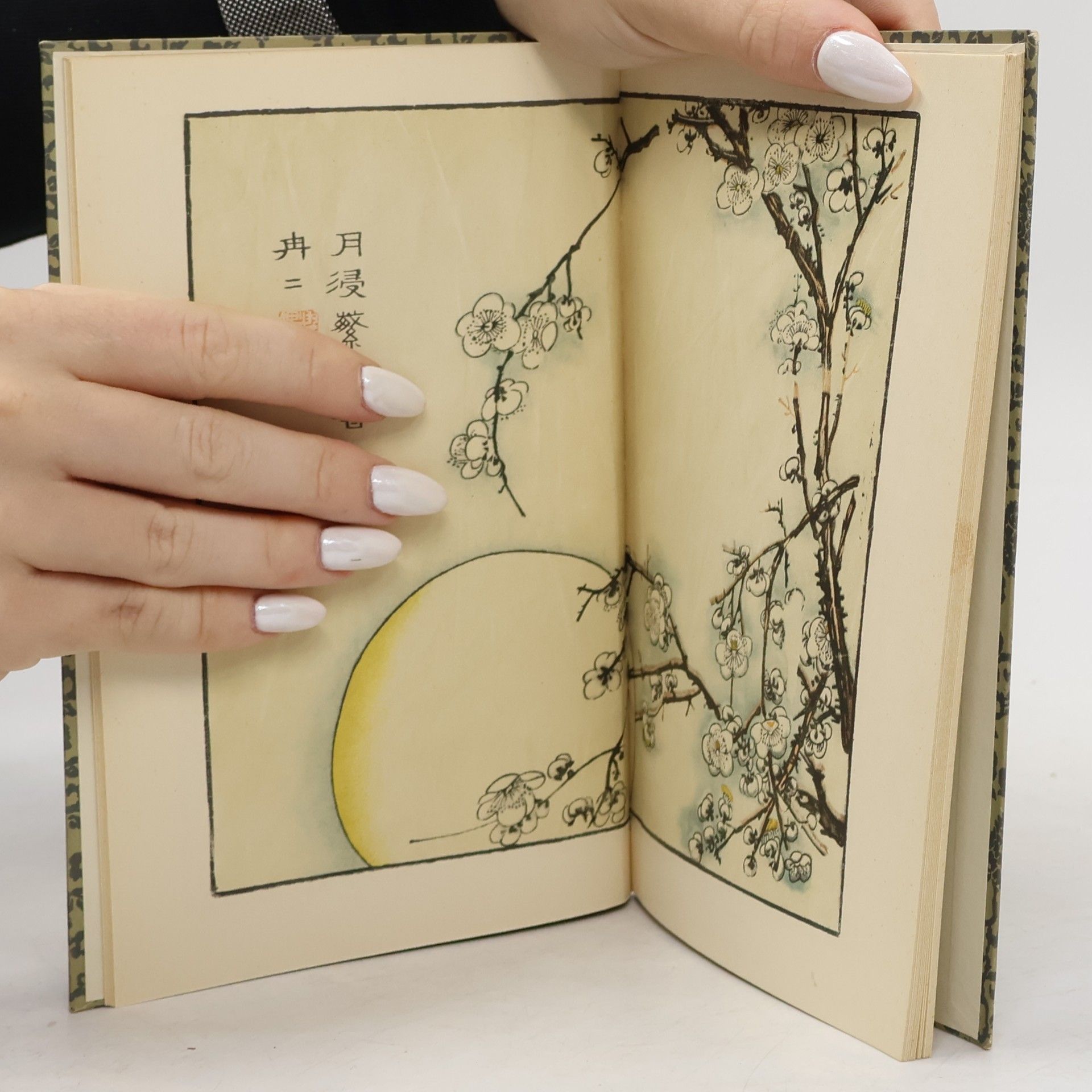 Autores varios Chinesische Holzschnitte