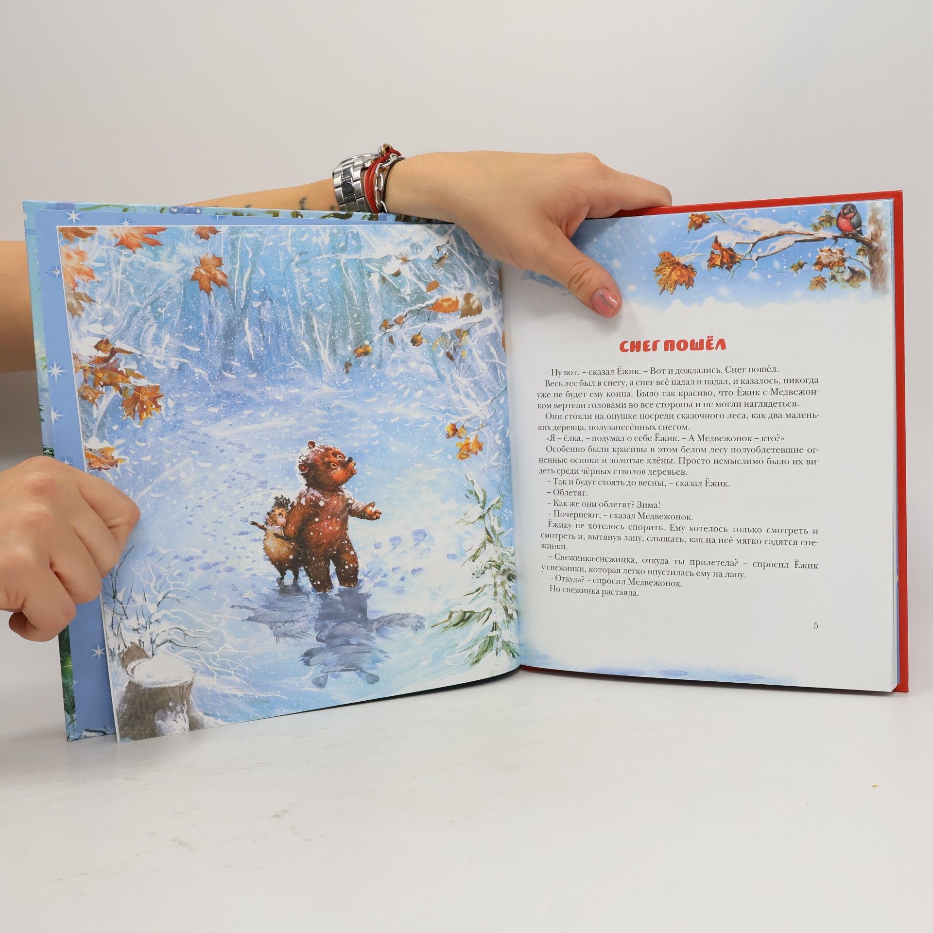 Ломоносовская школа - 5-6 лет: Читаю слова и предложения